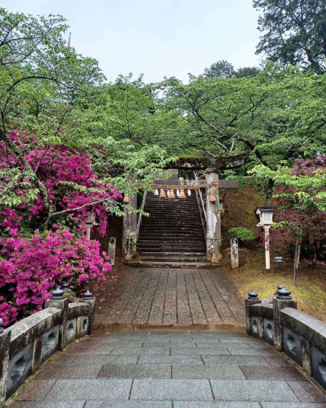 小川理子さんのインスタグラム写真 - (小川理子Instagram)「佐賀県武雄の思い出♡  ・武雄神社 天平3年（735年）創建の歴史がある神社。源頼朝に深く縁があって神奈川出身の私も親近感をかんじてしまった🥺 樹齢3000年の大楠も圧感で、心が洗われたよ‼︎すごいパワースポットでした✨ 大雨の日に参拝したから、いつかまた来れたら晴れでありますように  ・楼門と武雄温泉 国指定重要文化材の楼門。 『千と千尋の神隠し』の油屋のモデルのひとつと言われているの😍やっと見れた‼︎ そして1300年の歴史がある温泉♨️ 現在も使用されている建物では日本最古なんだって！明治9年からって聞いて絶対行きたかった武雄温泉。温泉後も肌が保湿されて、しっとり✨最高でした。 私は今回、元湯にはいったよ♡  武雄思い出またアップします！  #佐賀県 #佐賀旅行 #佐賀観光 #武雄温泉 #武雄神社 #武雄観光 #武雄の大楠 #御朱印女子 #御朱印部 #パワースポット神社 #武雄楼門 #千と千尋の神隠しのモデル #旅スタグラム佐賀 #旅好き女子 #旅すたぐらむ #旅フォト #温泉女子 #温泉♨ #sagatrip #takeotravel #japanesetraditionalculture #onsen♨️」5月1日 22時27分 - ogawariko11