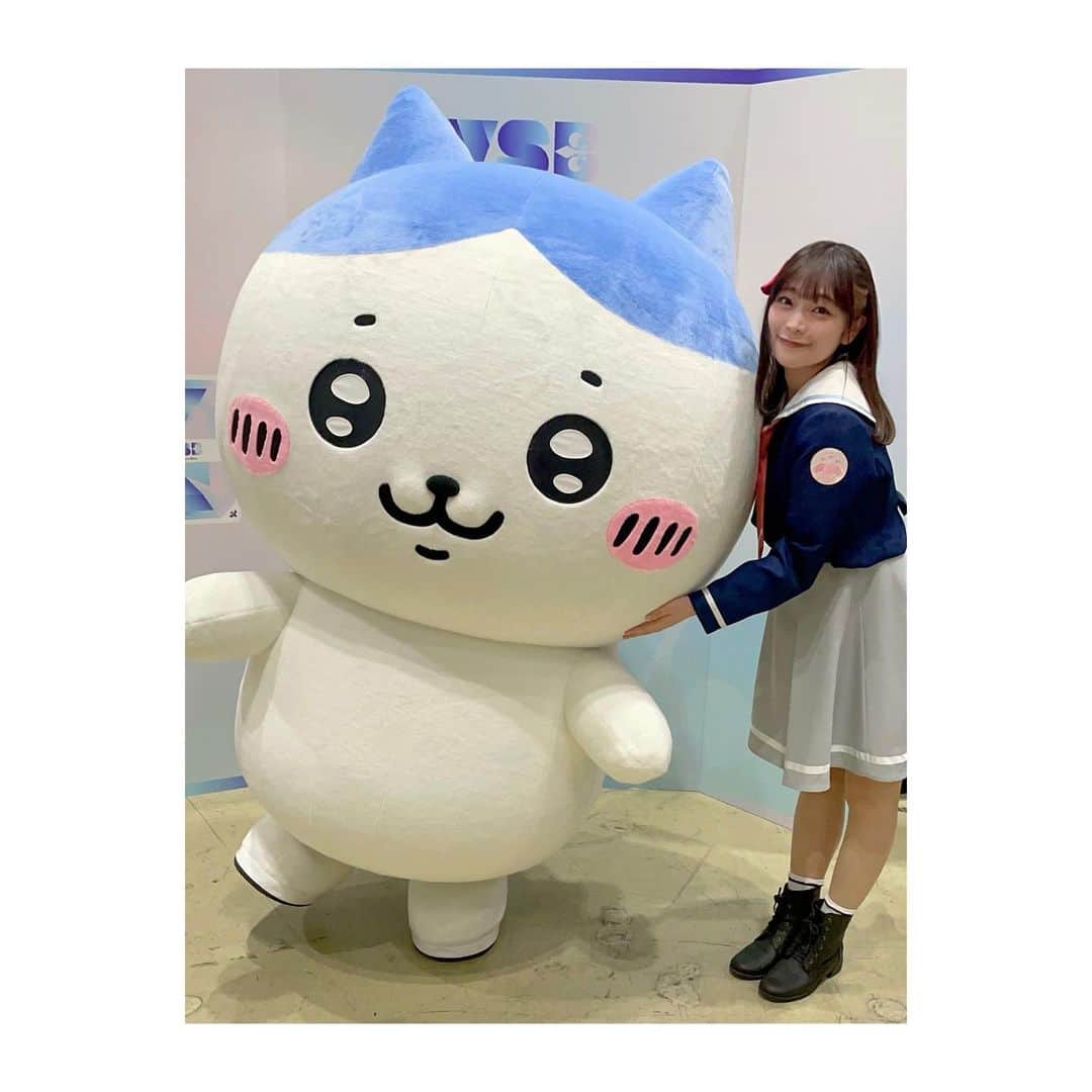 小山百代のインスタグラム：「・ ・ ・ ・  ハチワレ お誕生日おめでとう🎉🩵  初めて会えてハッピーです🫶🏻 これからも密かに推してます🫶🏻 ・ ・ ・ #ハチワレ #小山百代」