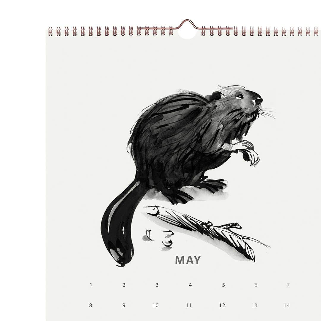 KOZLIFEさんのインスタグラム写真 - (KOZLIFEInstagram)「今日から5月。 連休に入りリラックスされている方も多いのでは？ ON/OFF切り替えて一日一日を大切に過ごしましょうね♡  -登場のアイテム- Teemu Jarvi 　Calendar 2023 ◎商品は当店トップページのリンクor画像をタップしてね。 ▶︎ @kozlife_tokyo  #KOZLIFE #kozlife_tokyo #LoveFoodLoveLife #instahome #FormandRefine #Interior #nordicinspiration #interiordesign #暮らし #北欧デザイン #北欧 #北欧インテリア #インテリア #丁寧な暮らし #シンプルライフ #북유럽디자인 #北欧设计 #北歐設計 #내부 #内部的 #內部的 #カレンダー #壁面インテリア」5月1日 13時56分 - kozlife_tokyo