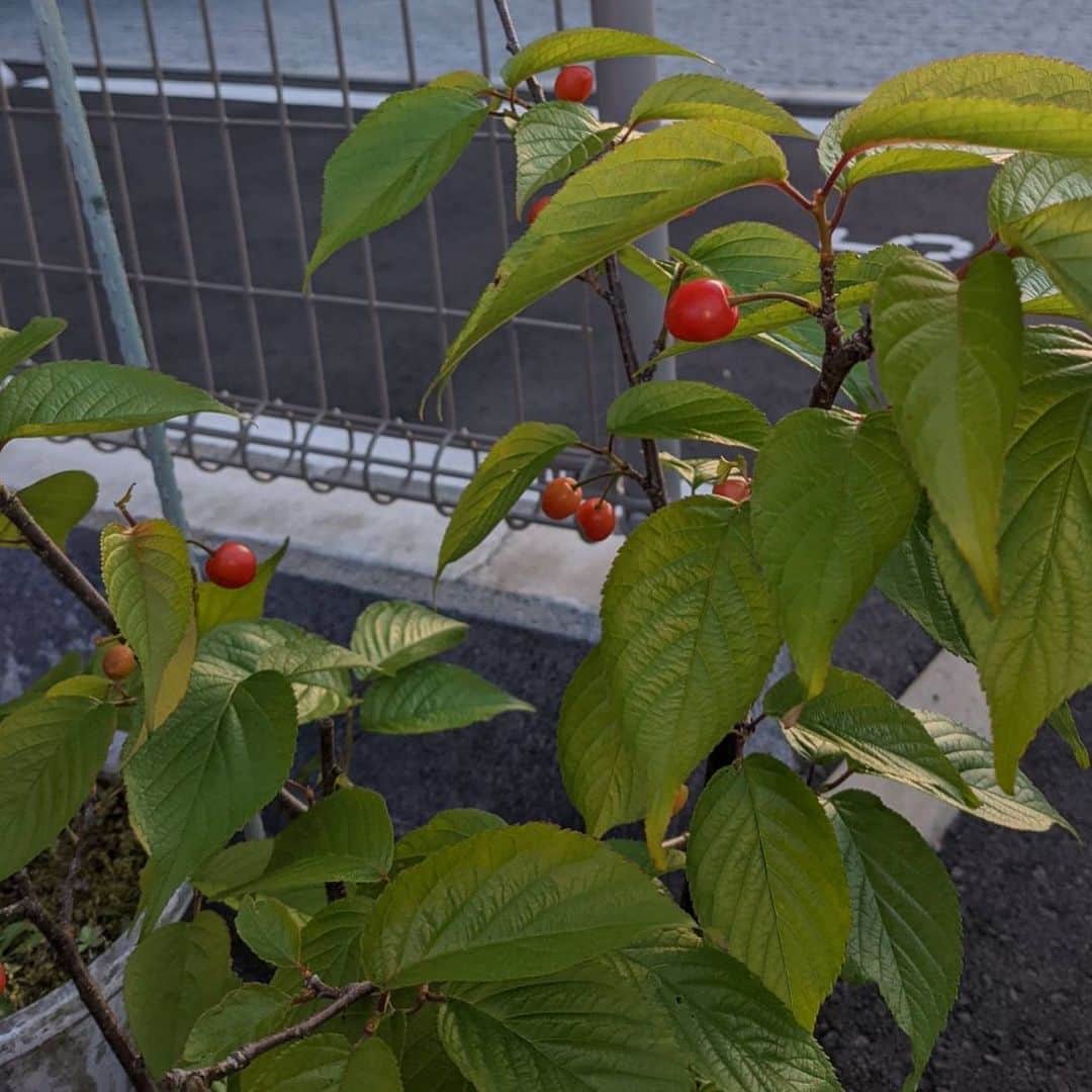 片山真人のグルメインスタ