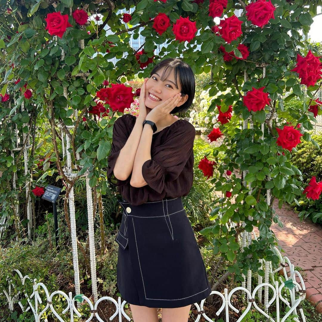 リチさんのインスタグラム写真 - (リチInstagram)「🌹🌹  📸 @kurochandesuwawa   #品川 #品川シーズンテラス #芝浦中央公園 #芝浦中央公園バラ園 #バラ #品川駅 #クロちゃん」5月1日 15時34分 - richi_bousho