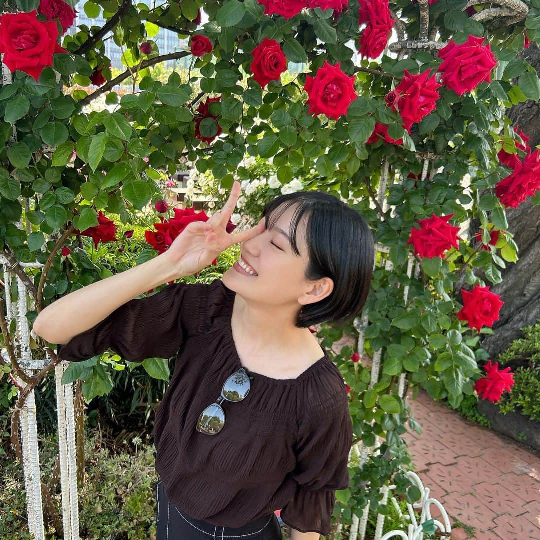 リチさんのインスタグラム写真 - (リチInstagram)「🌹🌹  📸 @kurochandesuwawa   #品川 #品川シーズンテラス #芝浦中央公園 #芝浦中央公園バラ園 #バラ #品川駅 #クロちゃん」5月1日 15時34分 - richi_bousho