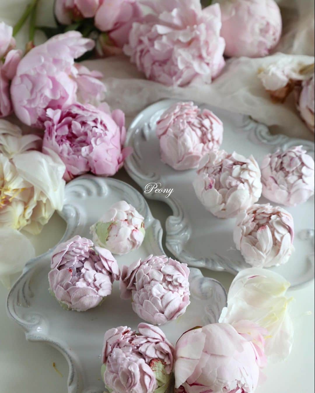 청담 수케이크 (atelier soo)のインスタグラム：「ㅡ Peony 🌸   #buttercream  #peony」