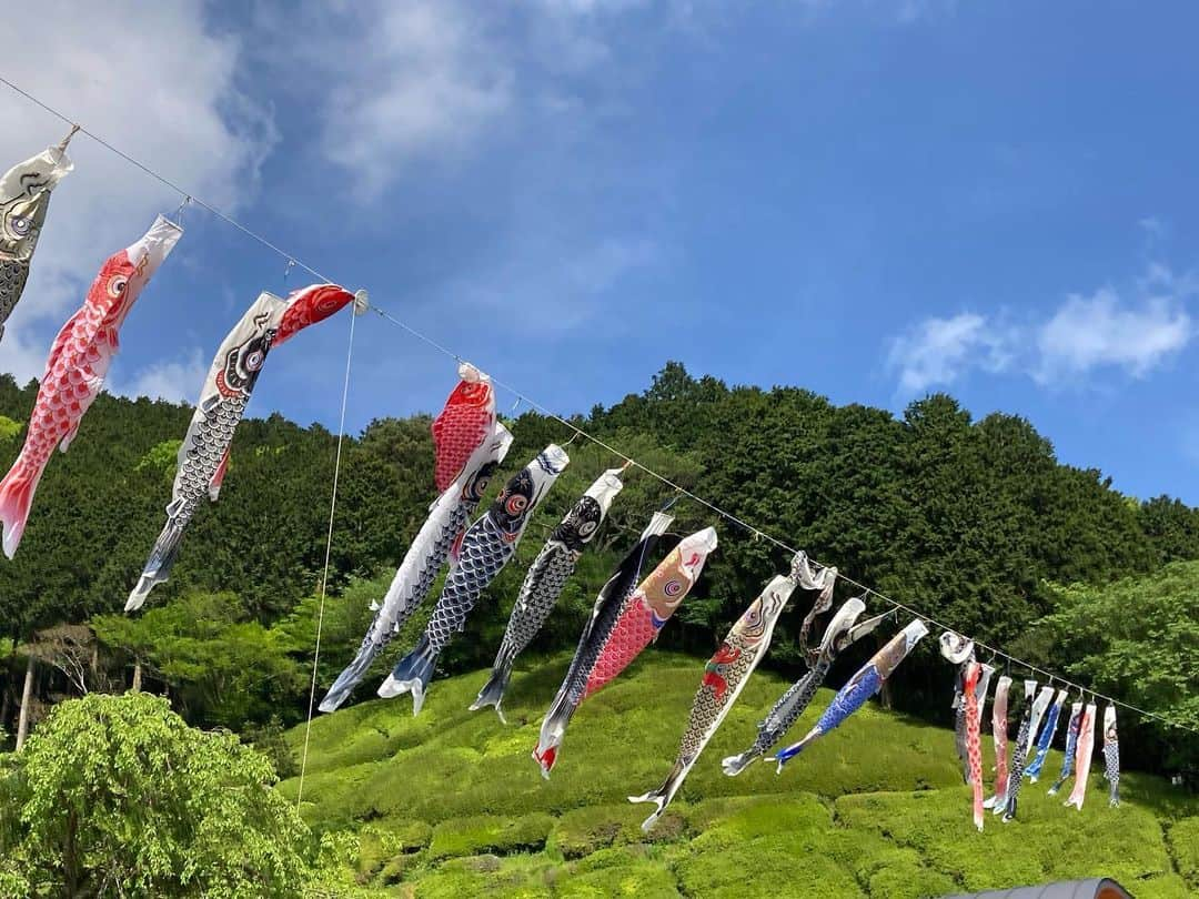 熱海市のインスタグラム：「姫の沢公園では5月7日まで花まつり開催中です🌺 大小のこいのぼりと、カラフルなつつじや新緑が楽しめます🎏  #つつじ #こいのぼり #新緑 #鏡のような池 #花まつり #意外と熱海 #あたみ #アスレチック #公園」