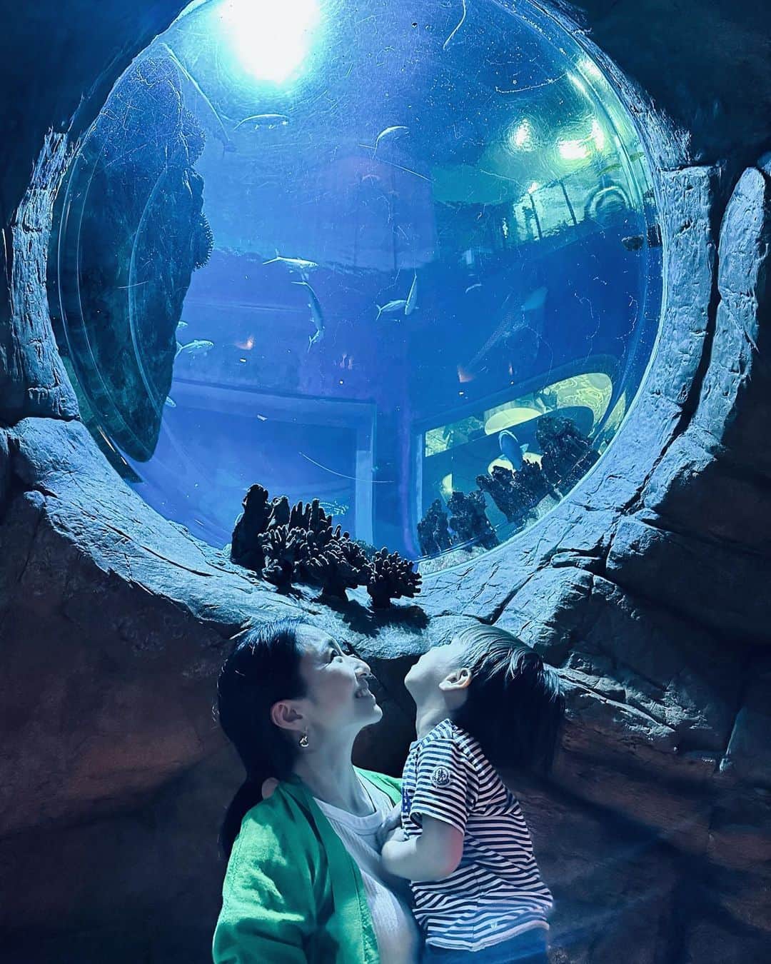 永田杏奈さんのインスタグラム写真 - (永田杏奈Instagram)「水族館、動物園、遊園地、プールが集結した香港のOcean Parkに行ってきました🏰 広すぎて一日では回れないので、お魚と動物をメインに見てきたけど、刺激がいっぱいで息子は楽しめたみたい🐠🐢🤍 まだまだ見たい所が沢山あるのでまた行かなきゃ~！  お家から車で20分で着いちゃうので年間パス買おうかな😙 子連れで香港に旅行の際は是非行ってみてね🎪  #海洋公園  #oceanpark」5月1日 16時44分 - annanagata
