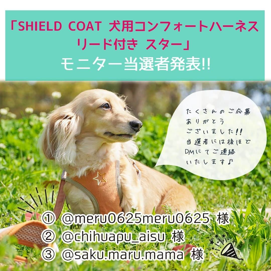 iDog&iCatさんのインスタグラム写真 - (iDog&iCatInstagram)「instagram特別企画【「SHIELD COAT 犬用コンフォートハーネス リード付き スター」のモニター募集】にたくさんのご応募をいただき、ありがとうございました！  お待たせいたしました！厳正な抽選の結果、プレゼント当選者を決定いたしました。 当選者は  @meru0625meru0625 様 @chihuapu_aisu 様 @saku.maru.mama 様  上記3名の方に決定いたしました。おめでとうございます！  プレゼント当選者には個別にダイレクトメッセージにてご連絡いたします。 その際、オーナー様のご氏名・プレゼント送付先をご連絡ください。  残念ながら今回当選できなかった皆様も、次回の開催をお楽しみに！  #IDOGICAT #iDog #iCat #犬 #いぬ #ペットハーネス #春夏新作 #モニター募集 #iDogSNSモニター応募 #犬の服iDog #お試し #犬服 #ドッグウェア #ペット」5月1日 17時11分 - idogicat