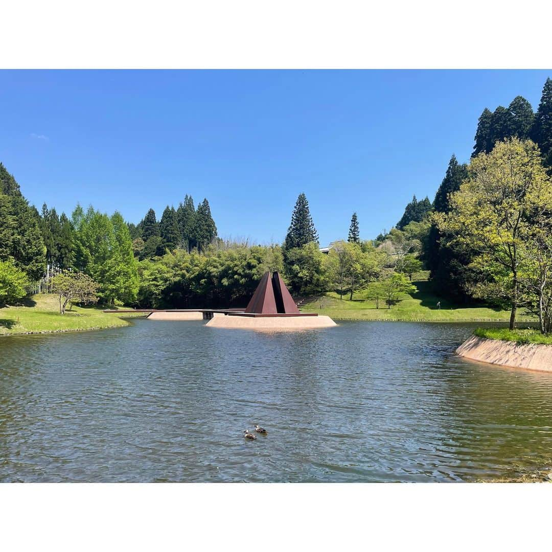 竹山佳林のインスタグラム：「私のプチゴールデンウィーク🌱 ピンくんの写真いっぱい撮れて満足🥰  #半日休暇 #室生山上公園芸術の森 #自然いっぱい #リフレッシュ  #犬のいる暮らし #愛犬との時間 #愛犬とお出かけ #親バカ万歳 #犬バカ万歳  #お気に入りの写真は #5枚目  #犬のおしりフェチ #犬のおしりはすきですか」