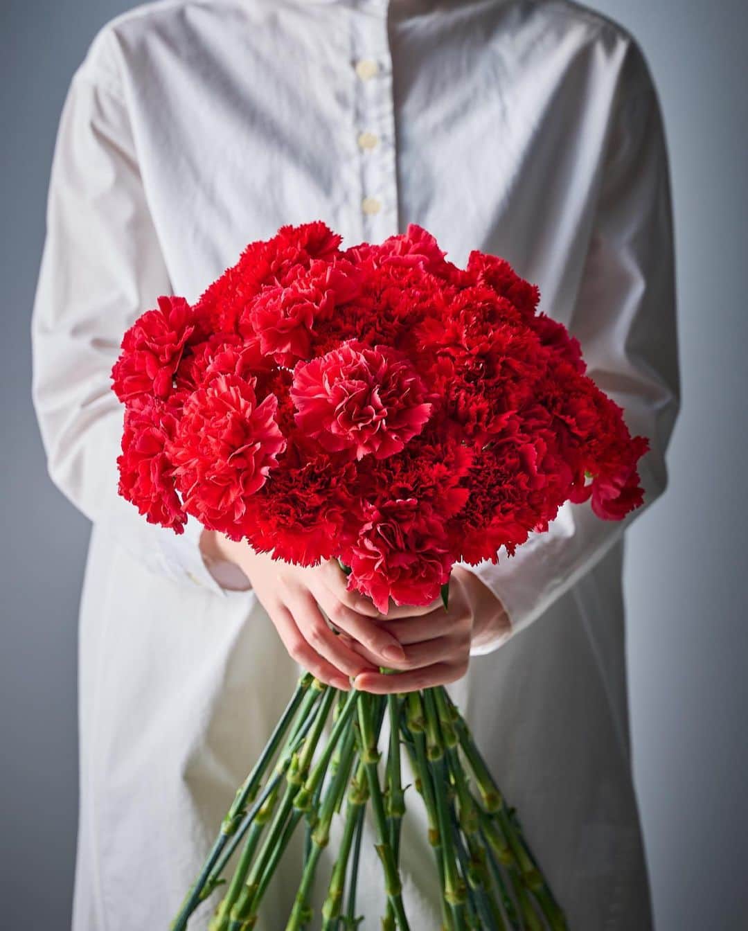 botanist officialのインスタグラム：「今日は #カーネーション をご紹介します🌷 カーネーションはナデシコ科の多年草。 春から初夏にかけて開花し、重なり合う豊かな色彩の花びらが特徴です。  『Carnation』には、ラテン語で「肉のような色」を意味する『carnis』から由来し、花びらの色が肉のように見えることからその名が付けられました。  花言葉は「母の愛」「尊敬」。 色によって異なる花言葉も持っており、その美しい花びらや色彩が感情を表現しています💐  品種によって咲き方や色のバリエーションが豊富。花屋さんで好みの色を選ぶ時間も、楽しみの一つになりますね✨ ぜひ皆さまもお気に入りのカーネーションを探してみては、いかがでしょうか♪  #BOTANIST #ボタニスト #botanicalbeauty」