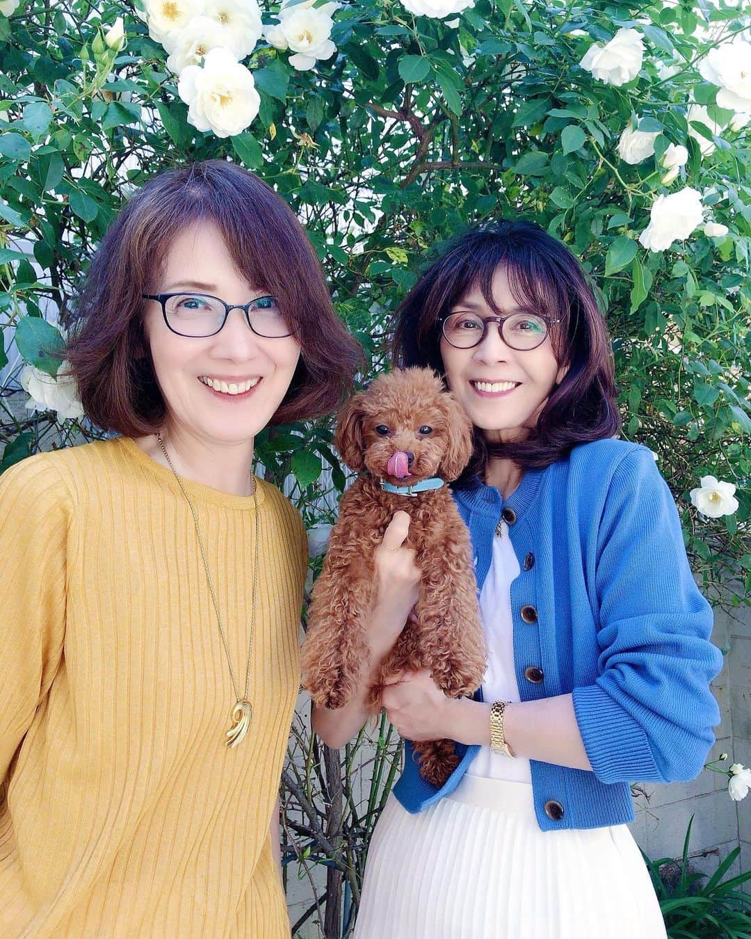 小川知子さんのインスタグラム写真 - (小川知子Instagram)「子役会♪ ユッコのお庭のバラが満開になったので急遽集合〜 音無美紀子さんは参加出来ず残念。 お天気になって良かった〜。 昨日は雨だったから。 皆んな晴れ女ですね😊☀️  今回の話題は健康についてのお話に花が咲きました。  レア君にもいっぱい触れたししあわせな私です🤗  いつもあっという間に時間が経って楽しかったです。  また 元気に会いましょうねー。  #子役会 #女子会 #白バラ #柏木由紀子 #酒井和歌子 #渡辺政江 #小川知子」5月1日 18時02分 - tomoko_ogawa_