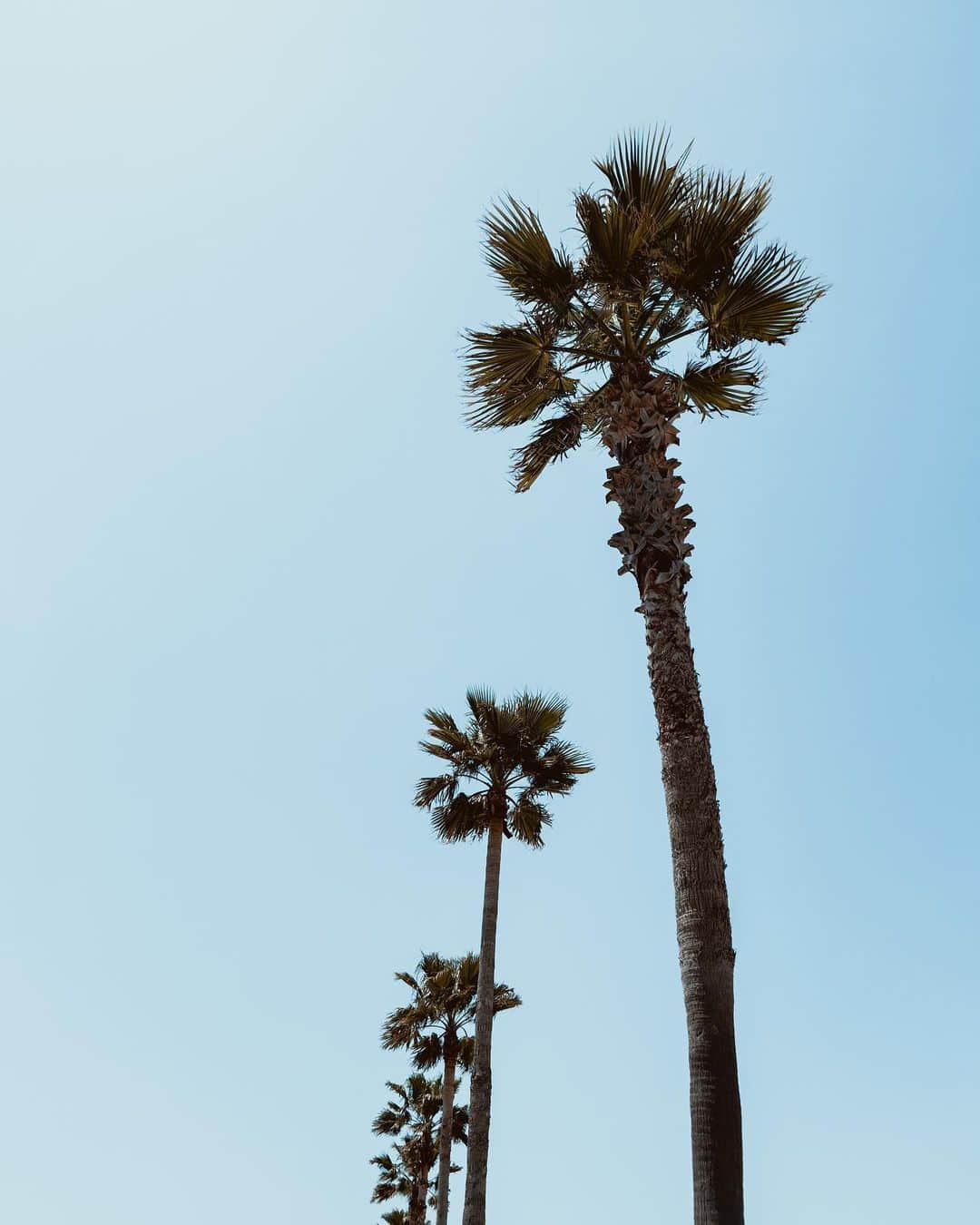 Miwakoのインスタグラム：「もうすぐGW🌴」