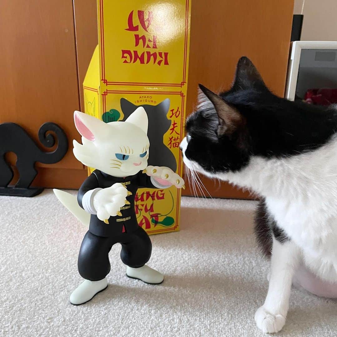 石黒亜矢子 キタンクラブ KUNG FU CAT カンフー猫　蓄光　新品 新品 3種セット 石黒亜矢子 キタンクラブ KUNG FU CAT カンフー猫