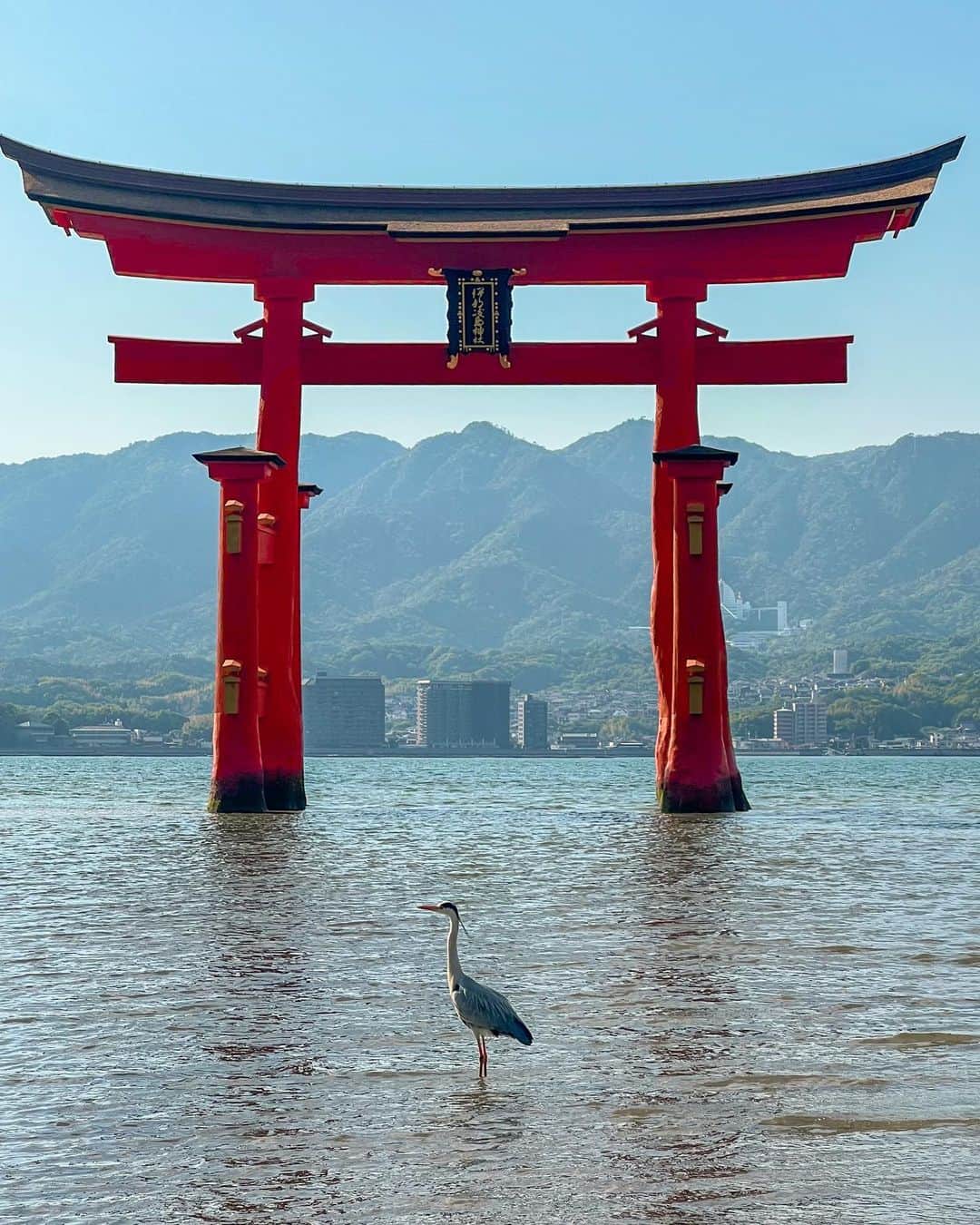 羽石杏奈さんのインスタグラム写真 - (羽石杏奈Instagram)「Itsukushima 🇯🇵⛩💠 #japantrip   “島そのものが神”として信仰されていた、広島県の宮島。 世界遺産の厳島神社をはじめとして 美しい海や緑も、名物の牡蠣やもみじ饅頭も、 1day tripで大満足に楽しめる、 日本旅行で人生一度は訪れたい旅先🍁 不思議なパワー溢れる島だったなあ〜  日本で好きな場所がどんどん増えていく🫧 GWはみんななにするの？🫶  #hiroshima #itsukushima #宮島」5月1日 18時31分 - hawaiianna913