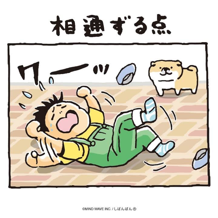 オオゴシヤステルのインスタグラム：「🟠193話🟠  相通ずる点  【過去マンガはこちら】 👉 #しばんばんまんが  #今日のしばんばん #しばんばん #shibanban #むちころばんばん #muchicorobanban #微笑柴犬 #マインドウェイブ #mindwave #オオゴシヤステル #柴犬 #しばいぬ #sibainu」