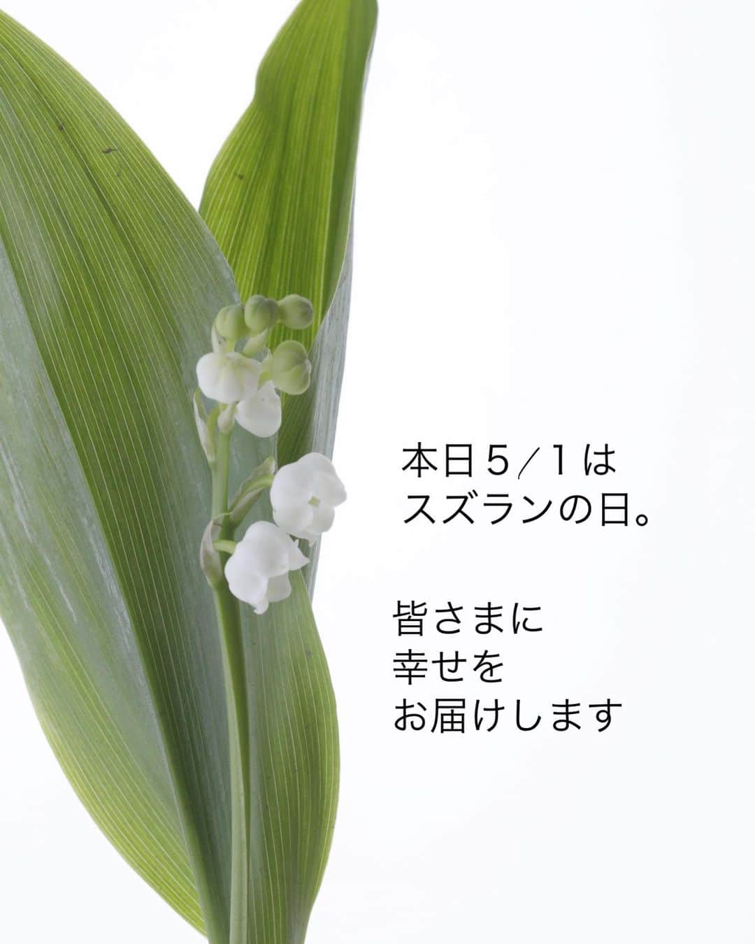 雑誌『花時間』さんのインスタグラム写真 - (雑誌『花時間』Instagram)「本日は、スズランの日。  花時間（@hanajikan_magazine）です。  香りは届けられませんが…皆さまへ幸せをお贈りします♬  もしもお花屋さんで見かけたら、飾ってみてね。  ちなみに、この花束を束ねたのは東京・西荻窪のエルスールさん。  白いモッコウバラで覆われたお店なんです。まだ咲いている？もう終わった？　ご近所の方は、お知らせくださいませ。  最後のノイバラは、うちの子です。今年もきれいに、甘い香りで咲いてくれました。  香りと言えば、いま、あちこちでミカンの花も甘〜い香りで咲いていますね。  甘くて濃厚で、クチナシにどこか似た香りです。  では、本日もお疲れさまでした。明日も元気smile😊😊😊で頑張りましょう！ byピーターパン  花　@elsur1010  写真　@中野博安　2枚目の写真 @tanabe32   【花時間ニュース】 💜『花時間』から、花の定期便がスタートしました🥰　世界でここだけのバラと旬花が届く嬉しいサービスです💕  💜『花時間2023春夏』〈春のピンク！夏のブルー！〉大好評発売中！  💜『花と短歌でめぐる 二十四節気 花のこよみ』大好評発売中  すべて @hanajikan_magazine のプロフィールのリンクから飛べます✈️  『花時間』本誌や書籍は全国の書店、ネット書店でも発売中✨  #花時間 #スズランの日  #スズラン #フラワーアレンジ #花が好き #花が好きな人と繋がりたい #花を飾る #花を飾る生活 #花屋さんへ行こう」5月1日 18時53分 - hanajikan_magazine