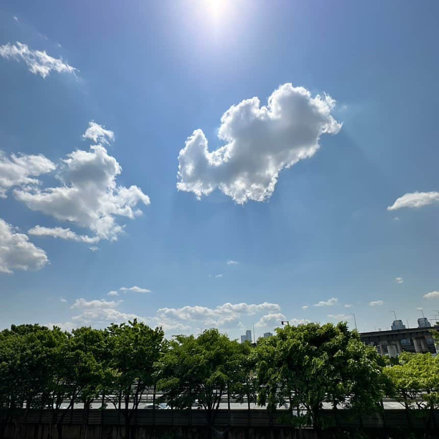 THE BOYZさんのインスタグラム写真 - (THE BOYZInstagram)「💚 💐🌤️ #Q」5月1日 19時04分 - official_theboyz