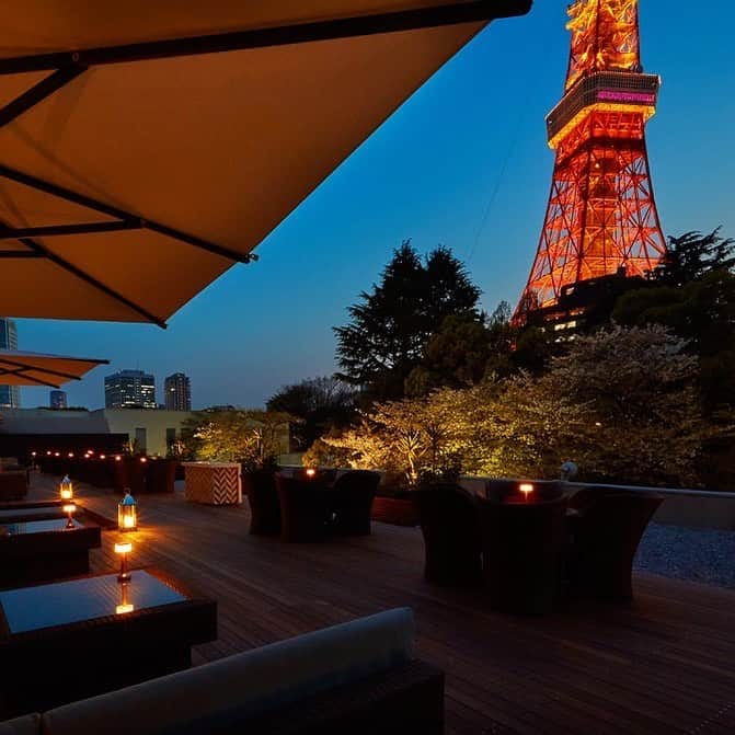 東京プリンスホテルさんのインスタグラム写真 - (東京プリンスホテルInstagram)「「カフェ＆バー タワービューテラス」では、煌めく東京タワーを見上げながらゆったりとした時間をお楽しみしいただけます。移ろいゆく空とともにロマンチックな時をお過ごしください。  Enjoy an enchanting evening at Tower View Terrace Café & Bar, where the romantic atmosphere flows and the majestic Tokyo Tower looms brightly nearby ✨ Watch in wonder as the skies slowly shift between hues of blue and orange 🥂  Share your own images with us by tagging @tokyoprincehotel  —————————————————————  #東京プリンスホテル #テラス #東京タワー #絶景 #東京の絶景 #テラス席 #tokyoprincehotel #princehotels #tokyotower」5月1日 19時12分 - tokyoprincehotel