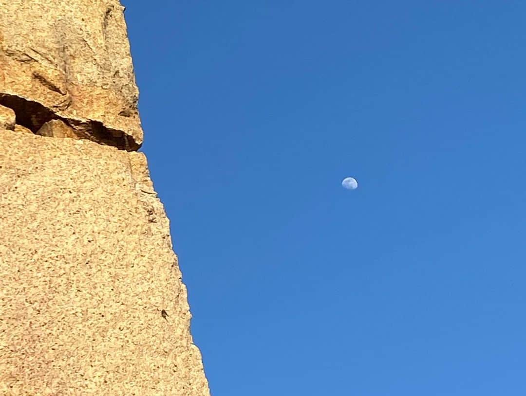 寺川奈津美さんのインスタグラム写真 - (寺川奈津美Instagram)「月が綺麗です！ #触手があれば #クラゲみたいだなぁ #2枚目の #石垣と月の組み合わせ #なんとなく歴史を感じる #下関」5月1日 19時12分 - natumikannnn