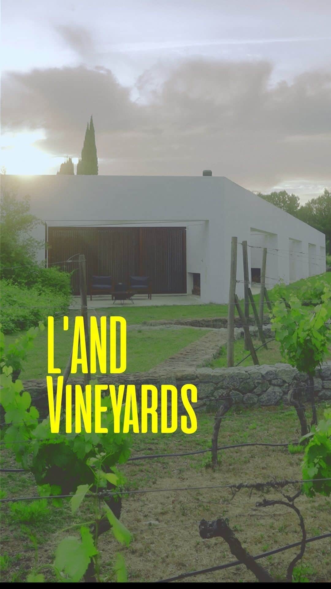 サイモンとマルティナのインスタグラム：「L’and Vineyards, in the heart of Alentejo  As I’m getting more into Portuguese Wine and exploring different flavours and grapes and vineyards, I spent a day in L’and Vineyards, in one of the most gorgeously angular buildings I’ve had the pleasure of staying in.  It’s only 20 minutes away from Evora, which is an absolutely beautiful city, with a stunning library stuffed with old leather bound books.」