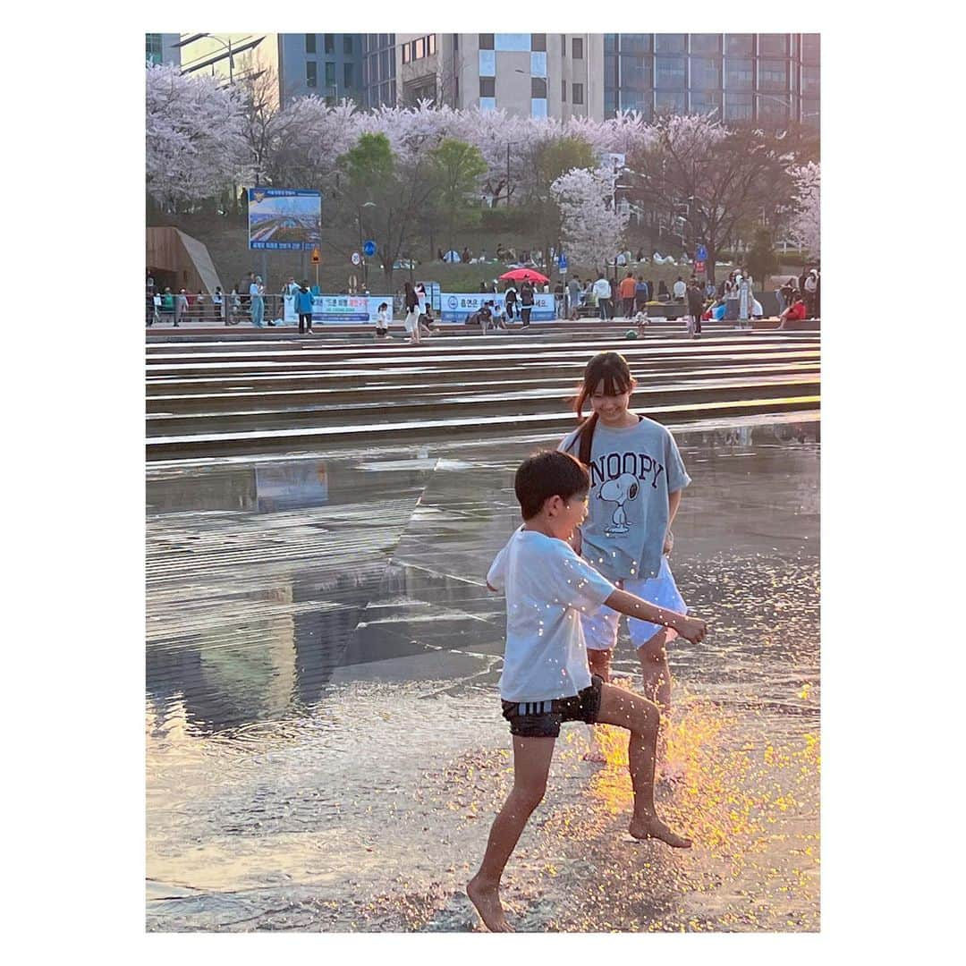 megumi matsuoさんのインスタグラム写真 - (megumi matsuoInstagram)「… 4月2日 5日目 あっという間の最終日 夕方はみんなでそろって汝矣島へ  サイクリングしに行くと いっぱいで乗れないw 日曜日ということを忘れてたわw  でも子どもたちはサイクリングよりも 目の前にある水辺になんなくシフトチェンジ  ビショビショになりたいところを ぐっっっと我慢させて 最後は水遊びになった  水遊びの予定立ててない このあとどっかで最後の晩餐 着替え持ってきてない タオルすらない そんなとき。はい。かいくん。 転んだよねww やると思ったーーーーーーー！！ サラミラに笑われて半べそだよねww もうすぐ日が沈んで寒くなる…はい撤収ww 濡れたままバスで帰ったよww バスが一駅だったからよかったけどさーww  楽しそうなカイ君の顔が 最後 意気消沈して寒そうな立ち姿へww  #春休み#韓国旅行#韓国#ソウル#seoul#汝矣島#汝矣島漢江公園#水遊び#3きょうだい#姉妹#中学生#小学生#子連れ韓国#サラミラソウル」5月1日 19時15分 - sara_mira_