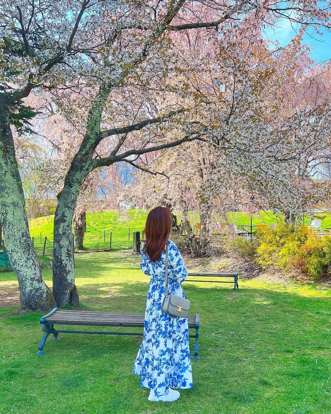 mii_stagramさんのインスタグラム写真 - (mii_stagramInstagram)「🌳FᴀSʜɪᴏɴ🌳 気付けば5月に入り 新緑の匂い立つ心地よい季節に🌱  軽井沢は桜が咲いていたり 川の流れをボーッと眺めたりと これ以上ないヒーリング効果🫶  白地にブルーの鮮やかな柄 高原リゾートにもピッタリで 歩きやすいようにスニーカー合わせ✨✨ @sheinofficial  @shein_japan   ワンピース🆔10873889 スニーカー🆔 10601643  お🉐になるクーポン【  miyuki 】 1～5,999円→15%OFF 6000円以上→20%OFF クーポン有効期限6月末迄𓂃🎀  *⑅︎୨୧┈┈┈┈┈┈┈┈┈┈┈┈┈┈┈┈୨୧⑅︎* ･ ｡ 　⭐∴｡　 　　🌟ﾟ･｡  ﾟ💫｡  　　 ✨🌟 💫 　 　　 ･ﾟ⭐｡･  　　　　⭐✨｡· 　 ⭐･｡🌟･｡✨🌟 　　　 ✨🌟 　　　　 ･ﾟ💫✨° 　　 🌟 ﾟ･｡ 💫 ｡ 　　　　　ﾟ⭐｡ﾟ✨ 🌟   #SHEINforAll #ad  #SHEIN   #shein購入品  #プチプラコーデ#プチプラファッション #きれいめコーデ #きれいめファッション #きれいめカジュアル  #スニーカー女子  #スニーカーコーデ  #ワンピース #ワンピースコーデ  #春コーデ #ママコーデ #アラフォーコーデ  #アラフィフコーデ  #40代ファッション  #50代ファッション  #大人可愛い #大人可愛いコーデ  #トレンドコーデ  #160cmコーデ  #旅行 #旅行コーデ  #自然 #景色 #風景 #はなまっぷ #ポートレート」5月1日 19時15分 - miyuki.0419.karemari