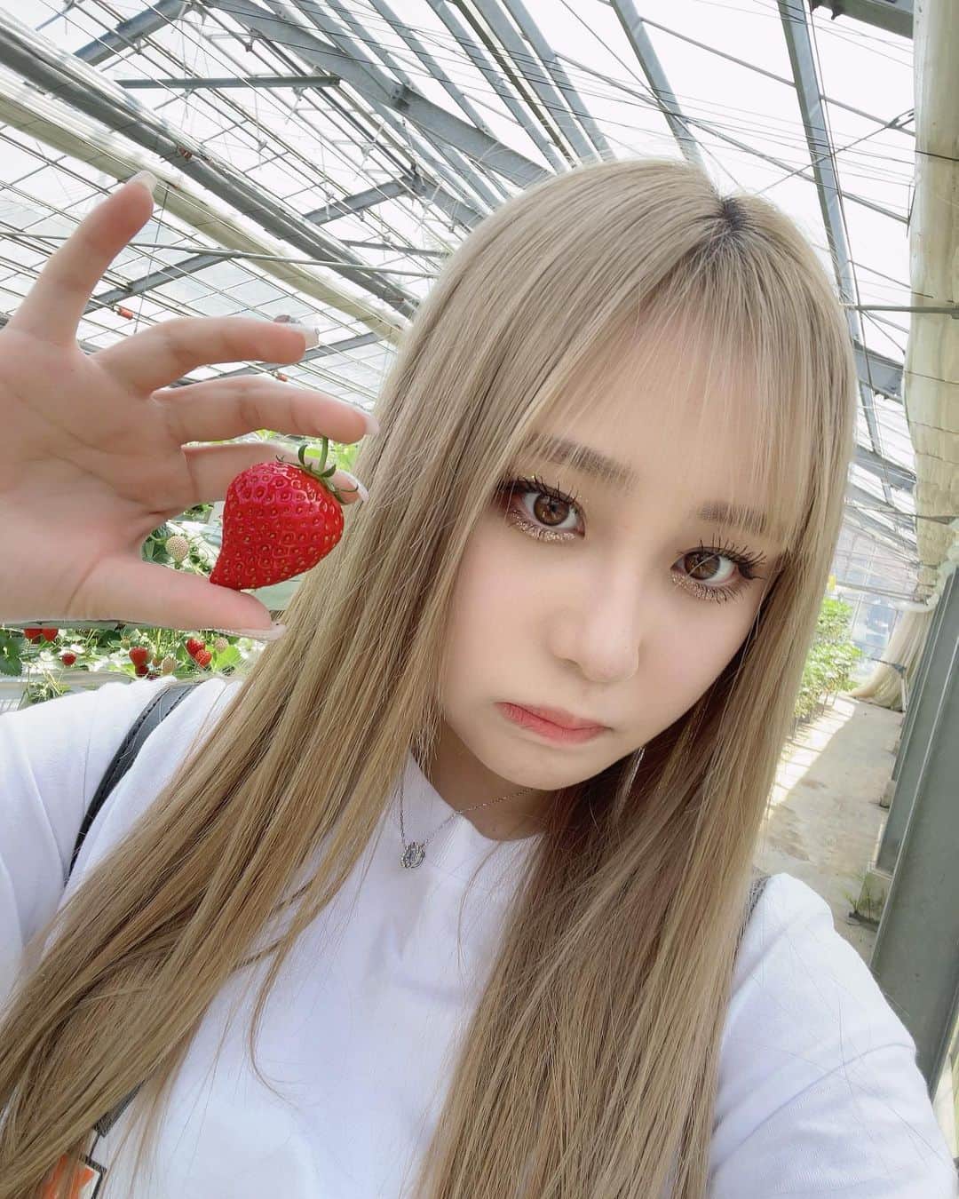 みぃらぁんのインスタグラム：「また いちご狩り行きたいナ〜🍓」