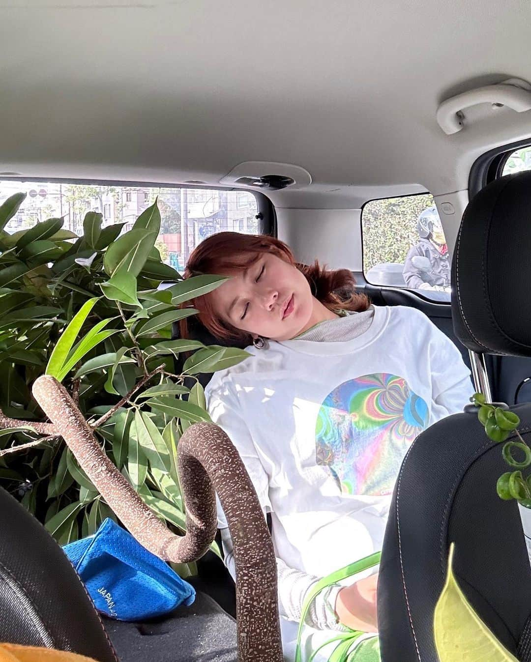 Asano Minamiさんのインスタグラム写真 - (Asano MinamiInstagram)「オザキフラワーパークで新居の植物をゲットした🌴」5月1日 19時34分 - minami_asano