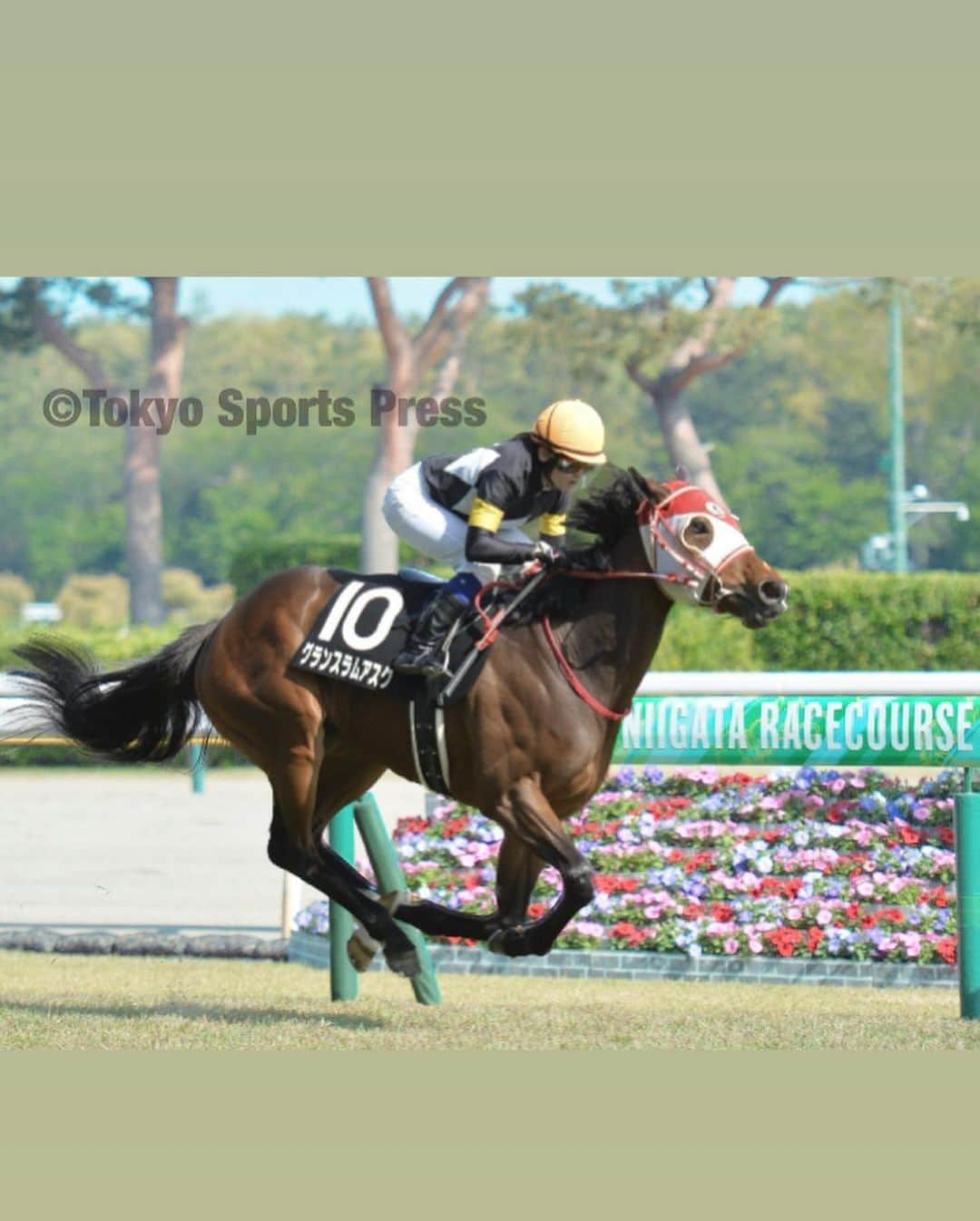 古川奈穂のインスタグラム