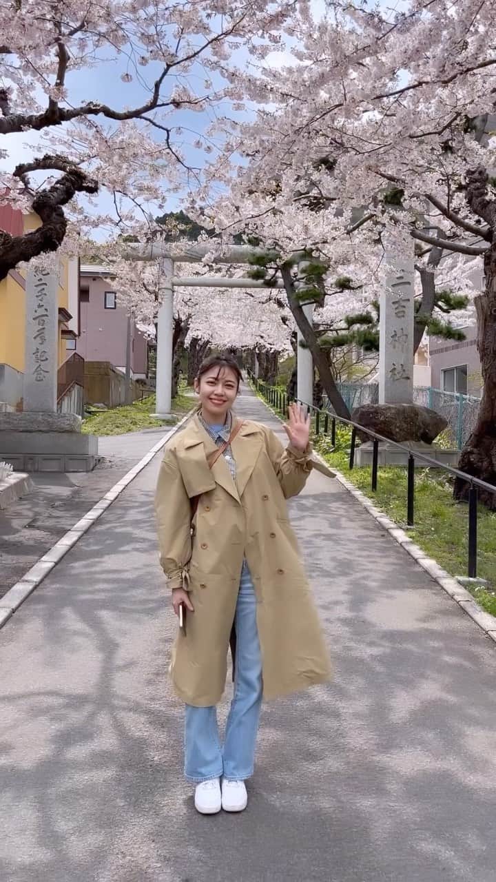 吉田晴香のインスタグラム：「今日から5月ですね💐  函館の桜みにいったとある日の思い出です  🌸  向かう道中も… 北海道が大好きです。  #函館#五稜郭#函館観光#北海道#北海道観光 #hakodate#hokkaido#hokkaidolove」