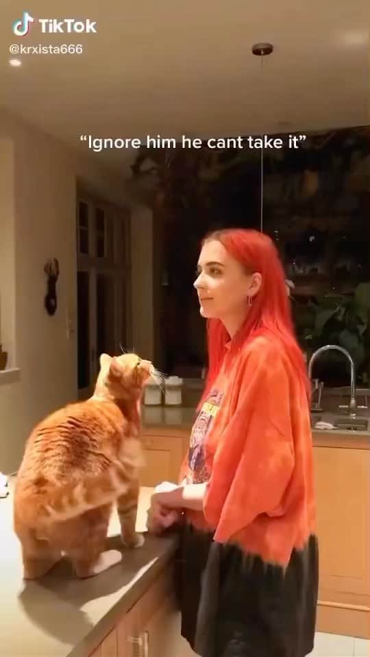 のインスタグラム：「🥺🥺😹😹  Credit: awesome krxista666 (TikTok) Check them out ☺️  ** For all crediting issues and removals pls 𝐄𝐦𝐚𝐢𝐥 𝐮𝐬 ☺️  𝐍𝐨𝐭𝐞: we don’t own this video/pics, all rights go to their respective owners. If owner is not provided, tagged (meaning we couldn’t find who is the owner), 𝐩𝐥𝐬 𝐄𝐦𝐚𝐢𝐥 𝐮𝐬 with 𝐬𝐮𝐛𝐣𝐞𝐜𝐭 “𝐂𝐫𝐞𝐝𝐢𝐭 𝐈𝐬𝐬𝐮𝐞𝐬” and 𝐨𝐰𝐧𝐞𝐫 𝐰𝐢𝐥𝐥 𝐛𝐞 𝐭𝐚𝐠𝐠𝐞𝐝 𝐬𝐡𝐨𝐫𝐭𝐥𝐲 𝐚𝐟𝐭𝐞𝐫.  We have been building this community for over 6 years, but 𝐞𝐯𝐞𝐫𝐲 𝐫𝐞𝐩𝐨𝐫𝐭 𝐜𝐨𝐮𝐥𝐝 𝐠𝐞𝐭 𝐨𝐮𝐫 𝐩𝐚𝐠𝐞 𝐝𝐞𝐥𝐞𝐭𝐞𝐝, pls email us first. **」