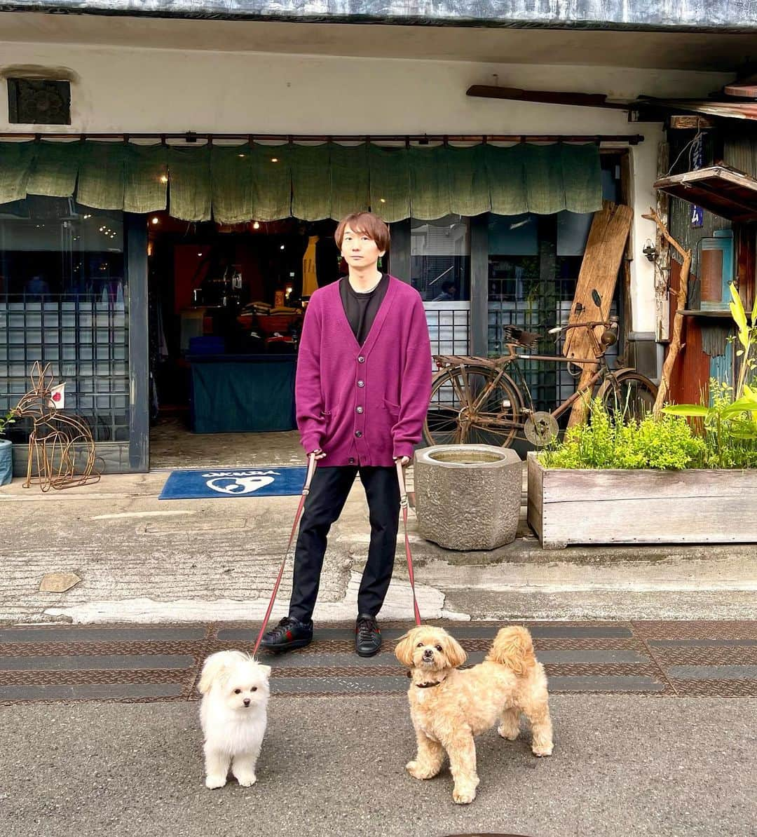 西村文男のインスタグラム：「4月のふみお #victim  #n_hoolywood  #ladmusician」