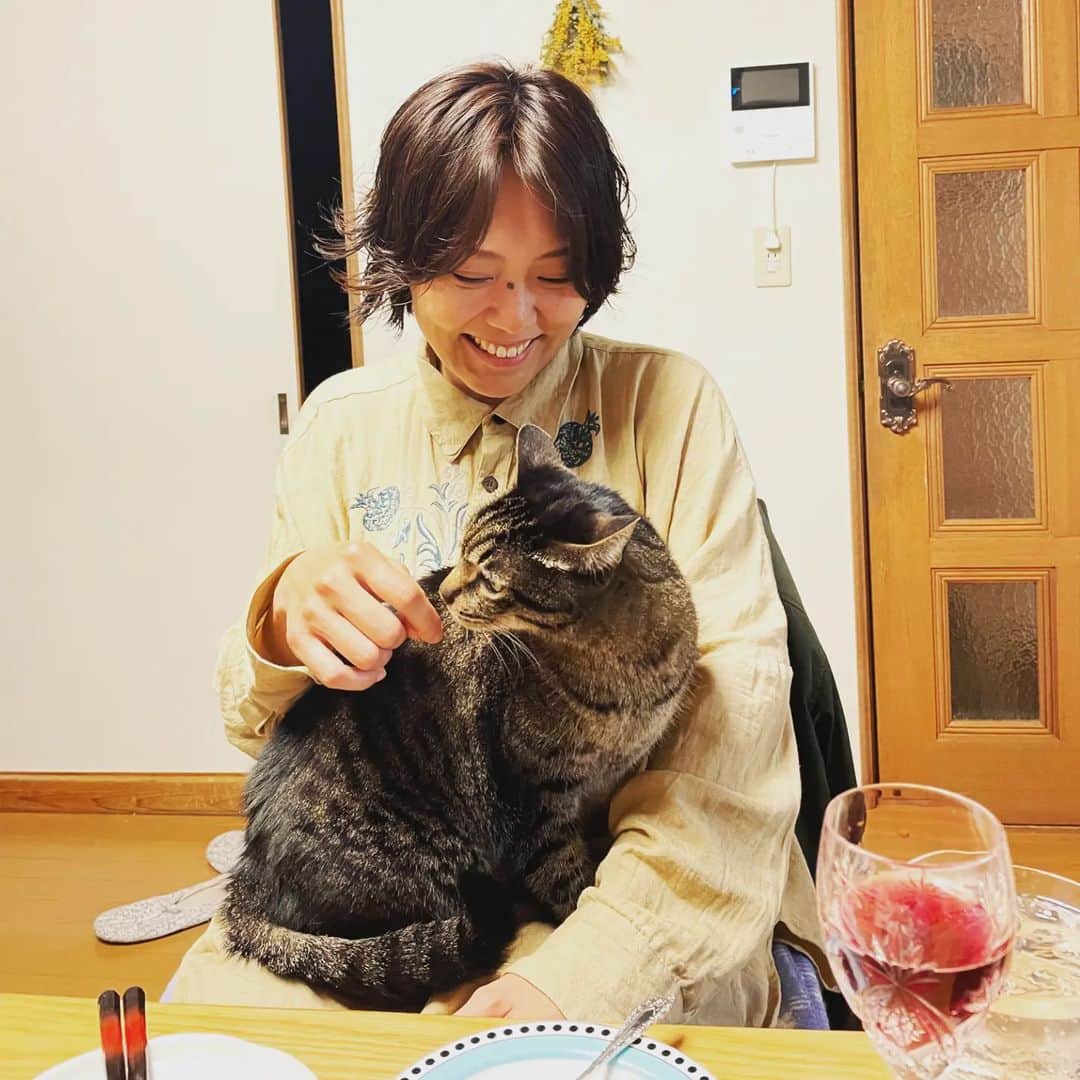 せいのゆみのインスタグラム：「昨日無事に公演を終え、 ただいま絶賛浮気中 友人宅訪問からの 愛猫をあの手この手で手懐ける  まだ緊張して　膝の上で丸くはなってくれません  沖縄生まれのこの子は今月沖縄に主人とともに帰ってしまいます 来年1週間くらい居候して 手懐けてみせるぜ🎵  #ねこ好き #ねこと暮らす #猫好き #猫のいる暮らし #猫好きさんと繋がりたい」