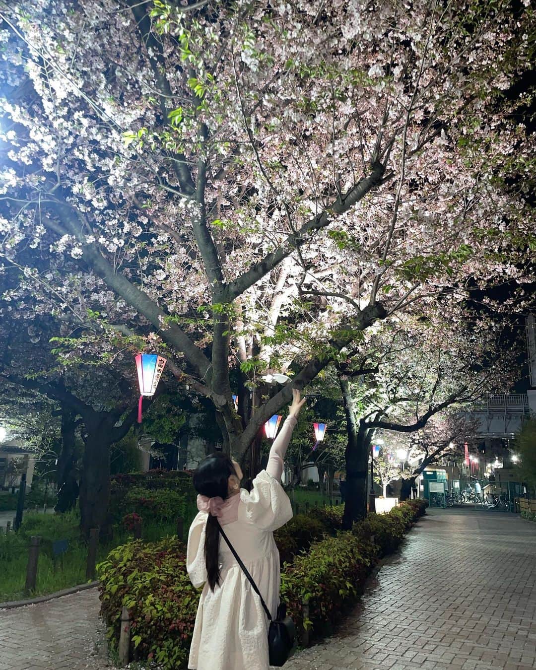 山岸理子さんのインスタグラム写真 - (山岸理子Instagram)「* 𝗠𝗮𝘆❤︎ ⁡ #tsubaki_factory #山岸理子 #お花見した4月 #お花見デート #5月のはじまり」5月1日 20時53分 - riko_yamagishi.official