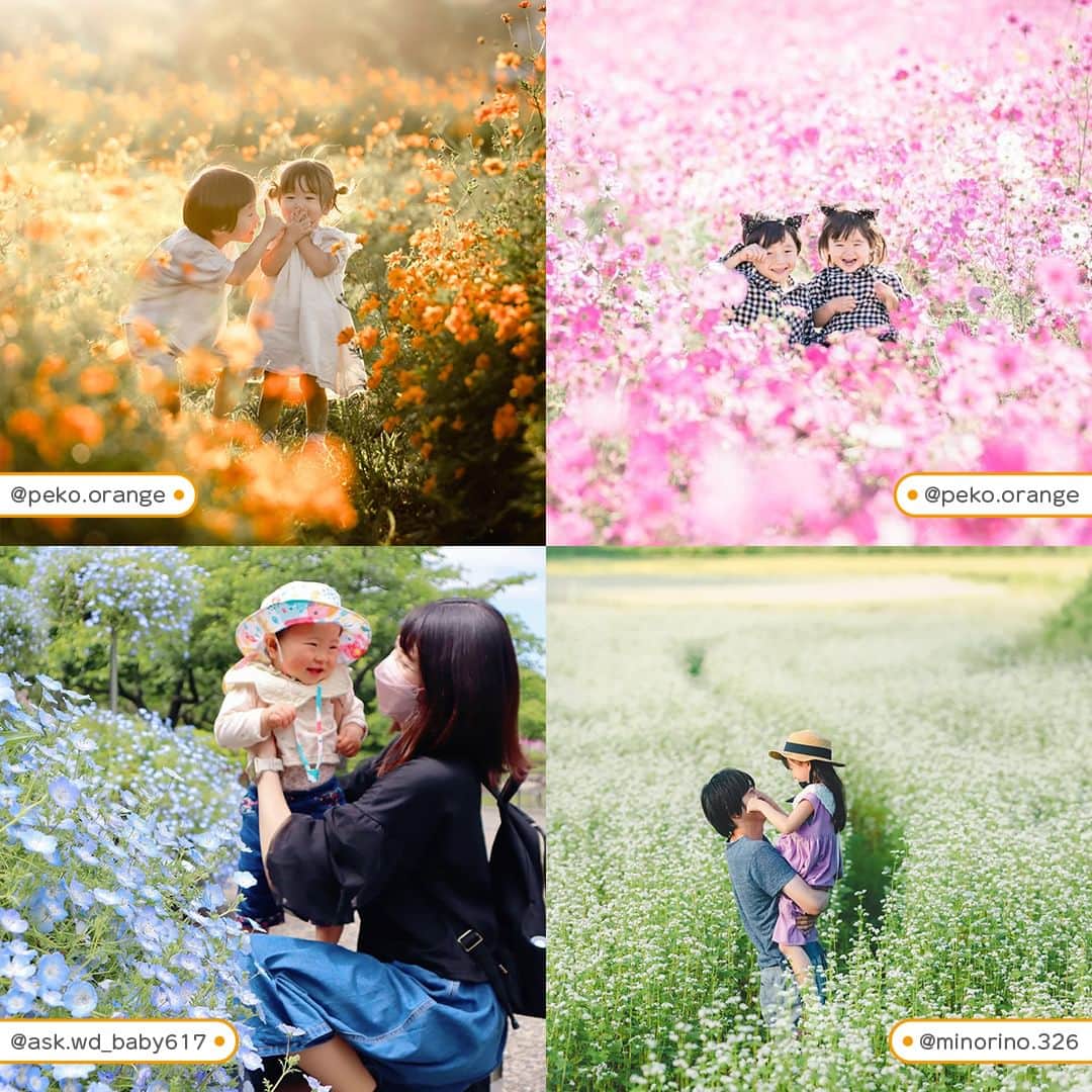 otowa (フォトワ)さんのインスタグラム写真 - (otowa (フォトワ)Instagram)「【かわいいと思ったらコメント欄に好きなお花🌷🌻🌼🌹で教えて下さい✨】 @fotowa.jp　←他のおでかけ投稿はこちらから👀  おでかけしたくなるゴールデンウィーク突入ですね！ ・ この時期、気候も良いのでお花が咲いている公園や 素敵なスポットもたくさん🌹 ・ 今回はそんなお花畑で撮影した素敵なお写真を まとめました！ ・ SNS映えするかわいいお写真がたくさんで癒されますね💕 ・ ぜひお花を見かけたら真似して一緒にお写真を 撮影してみてくださいね♪ ・ 素敵な投稿をリポストさせていただき、ありがとうございました✨⁠  @chulip.1929 @hct0719 @k_rit_yo @holly.elly @uc_sada @canon_0122 @peko.orange @ask.wd_baby617 @minorino.326  ---------------------------------------------------  「fotowa」はお子さまやご家族の記念写真を全国どこでも出張で撮影するサービスです🌟   公式Instagramアカウントでは、子ども・家族撮影に関する様々なお役立ち情報を 発信しています！ みなさまが撮影したお子さまのお気に入りのお写真は 「 #子育てグラマー 」をつけて投稿してくださいね📷   ご質問・お問い合わせはfotowa公式サイトからお願いします ✍🏻  ---------------------------------------------------  #fotowa #フォトワ #出張撮影 #ロケーション撮影 #ロケ撮 #お花畑 #花畑フォト #おはなばたけ #お花 #お花が好き #SNS映え #菜の花 #ネモフィラ #チューリップ #家族写真 #ファミリーフォト #子育てグラム #こそだてぐらむ #ママスタグラム #べびすたぐらむ #赤ちゃん #かわいすぎる #ベビーフォト #赤ちゃん写真 #兄弟フォト #お出かけスポット #gw #gw旅行」5月1日 21時07分 - fotowa.jp