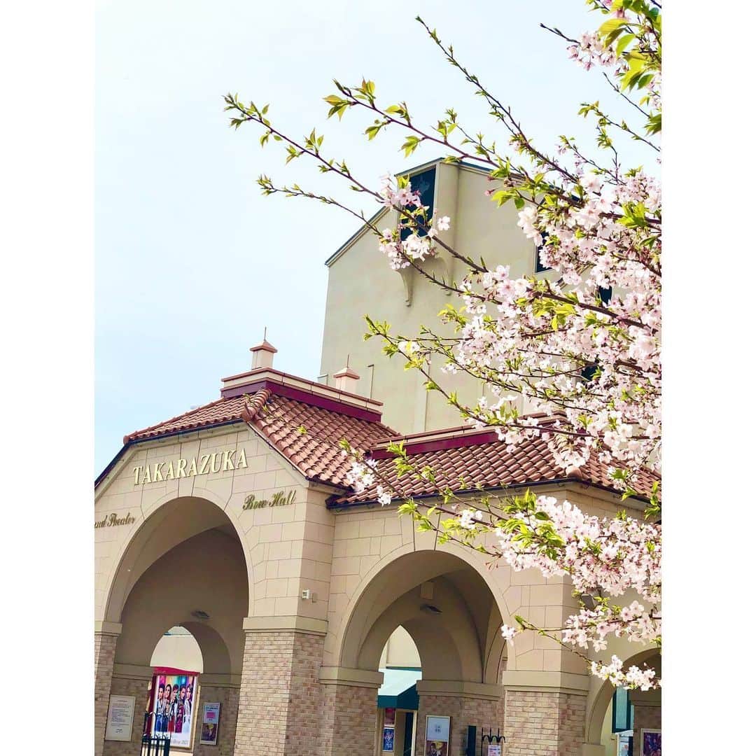 宇田川紗稚のインスタグラム：「.4月の記録🌸 ⁡ 4月も3月に続き桜から❀ この時期に公演がなければ行かないから、 宝塚で桜が見られて良かった☺︎ ⁡ こう振り返ると4月は充実していました🙆‍♀️ あっという間に5月ですね！ ⁡ #初宙組 #カジノロワイヤル #星組 #福岡遠征 #初マチソワ #遠征ビール #MIYAZAKI太平洋ライドMC #美味くて楽しい女子会 #おしゃなアルコール入コーヒーゼリー #4月」
