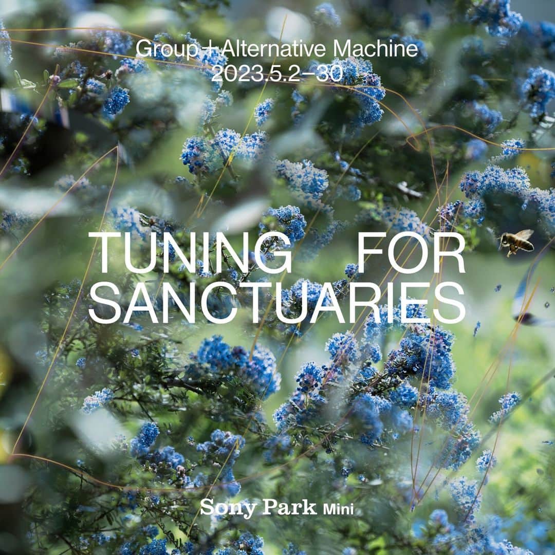 GINZA SONY PARK PROJECTさんのインスタグラム写真 - (GINZA SONY PARK PROJECTInstagram)「【『Tuning for Sanctuaries』初日5/2(火)は13:00オープンです / "Tuning for Sanctuaries" New Exhibition opens at 1:00 p.m. on Tue, May 2. 】 明日5/2(火) から開始する、建築コレクティブ「Group」と研究者集団「Alternative Machine」による『Tuning for Sanctuaries』。 本日着々と準備が行われました。 初日のみオープン時間が13時となります。  The program of sounds tuned for non-humans "Tuning for Sanctuaries" by the architect collective "Group" and the research group "Alternative Machine" will be exhibited from tomorrow from 1:00 p.m., Tue., May 2nd.  -------------------------⁠ 『Tuning for Sanctuaries』 Group ＋ Alternative Machine 5/2(火)〜5/30(火) 11:00~19:00 ※初日5/2(火)のみ13:00～ at Sony Park Mini https://www.sonypark.com/mini-program/list/032/ -------------------------⁠  @groupatelier @alter_machine_ #TuningForSanctuaries  #groupatelier #alternativemachine #research #リサーチ #研究 #sound #soundscape #音 #サウンドスケープ #サウンドアート #サウンドデザイン #AI #テクノロジー #建築 #architecture  #銀座ギャラリー #銀座アート巡り #sonyparkmini #sonypark #ginza」5月1日 21時12分 - ginzasonypark