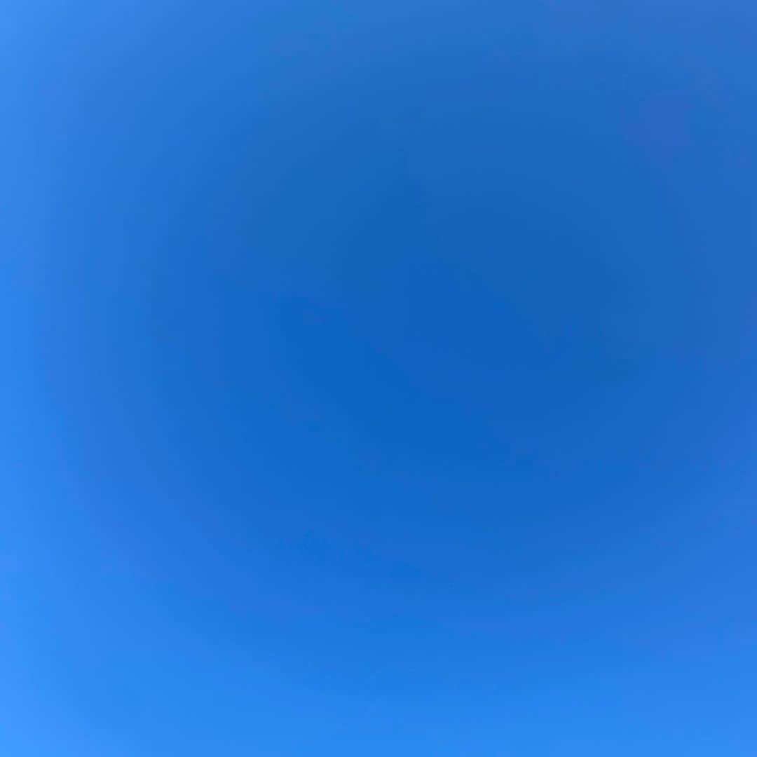 のインスタグラム：「おはよう この青に朝からやられてます 今日もよき日になりますように」