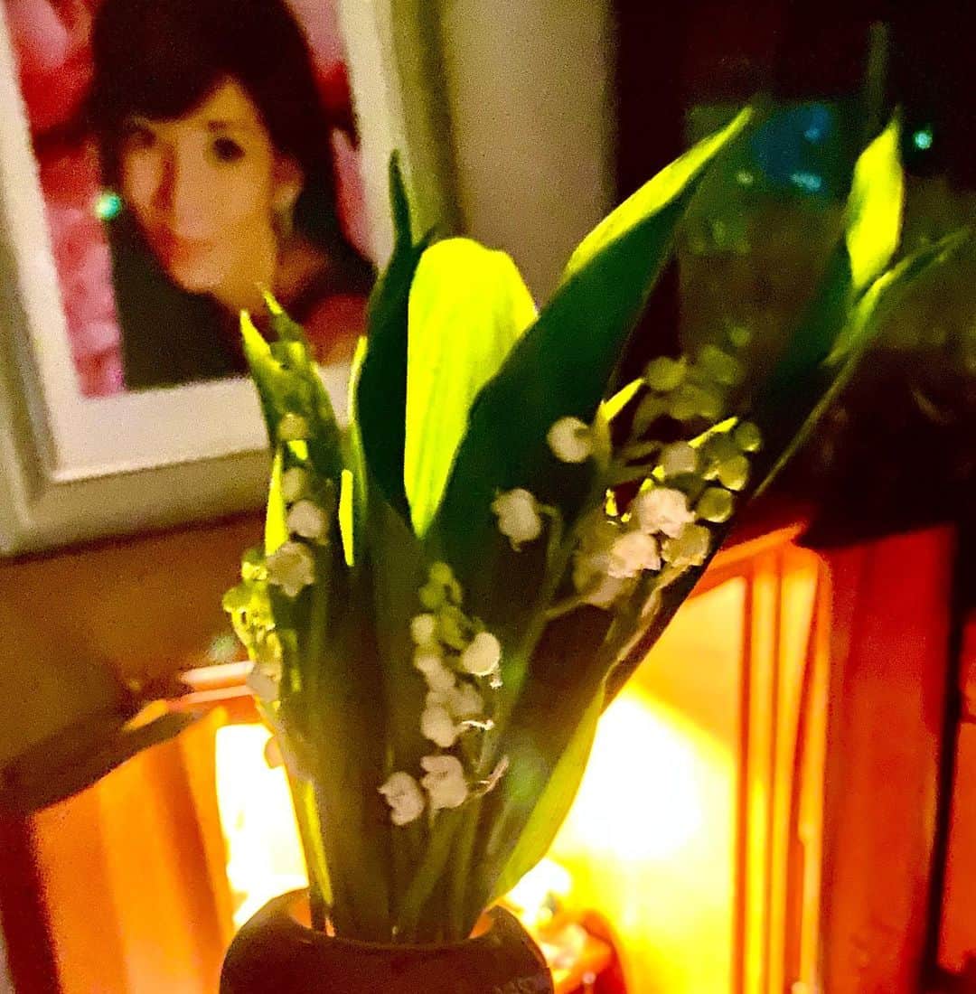 鎧塚俊彦さんのインスタグラム写真 - (鎧塚俊彦Instagram)「5月1日の昨晩は「幸せを運ぶスズランの日 【la fête du muguet】」 仕事終わりに幸せを探して何軒目かの花屋で見つけた可愛い鈴蘭を女房のもとに。 もう愛とか恋とかでは無いんですよ。 上手く表現出来ないですが‥‥‥。 #toshiyoroizuka #鎧塚俊彦　#トシヨロイヅカ　#すずらん　#川島なお美」5月2日 7時03分 - toshiyoroizuka