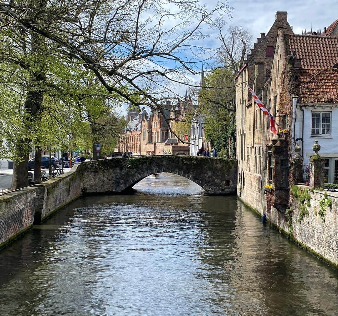 Crusoe the Celebrity Dachshundのインスタグラム：「“Can you spot Daphne in this pic? Swipe to see the answer!😋 We had the best location we could ask for at the @barabas.bruges B&B in Bruges!” ~ Crusoe」