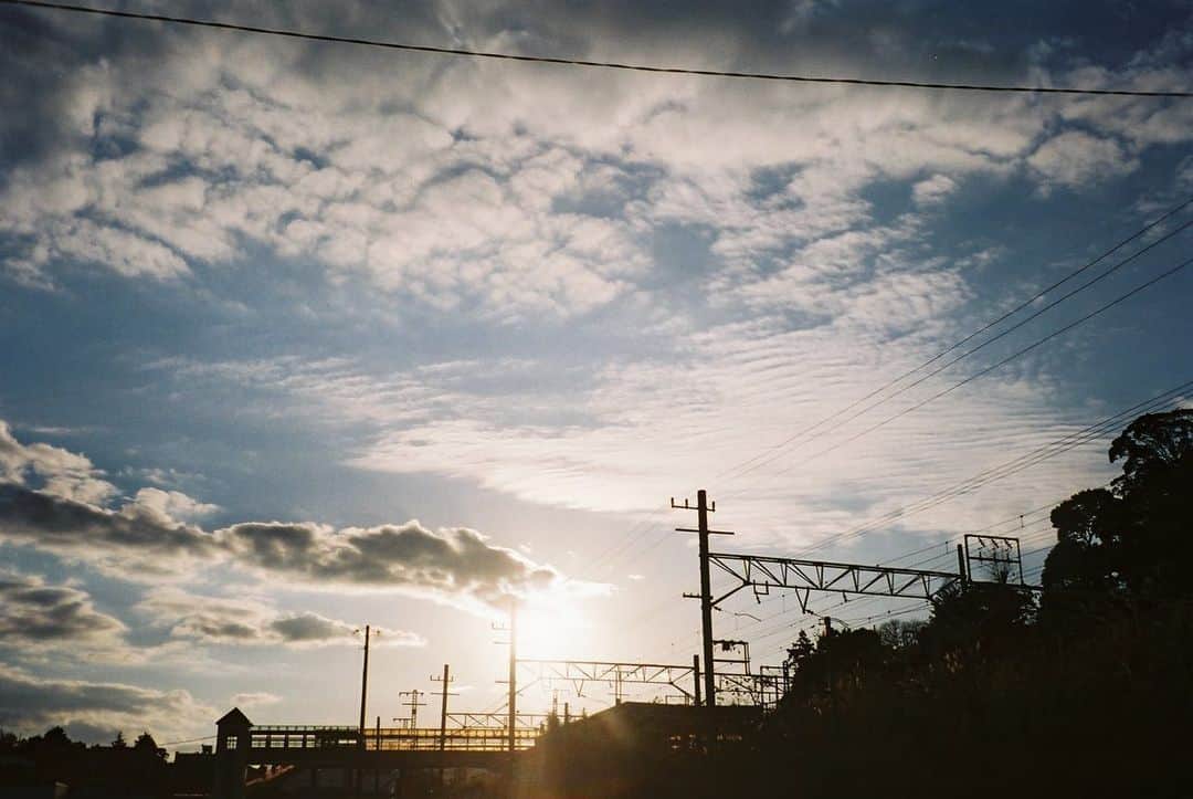 麻絵さんのインスタグラム写真 - (麻絵Instagram)「🌾💫  #麻絵カメラ #フィルムカメラ」5月1日 23時37分 - asaesan