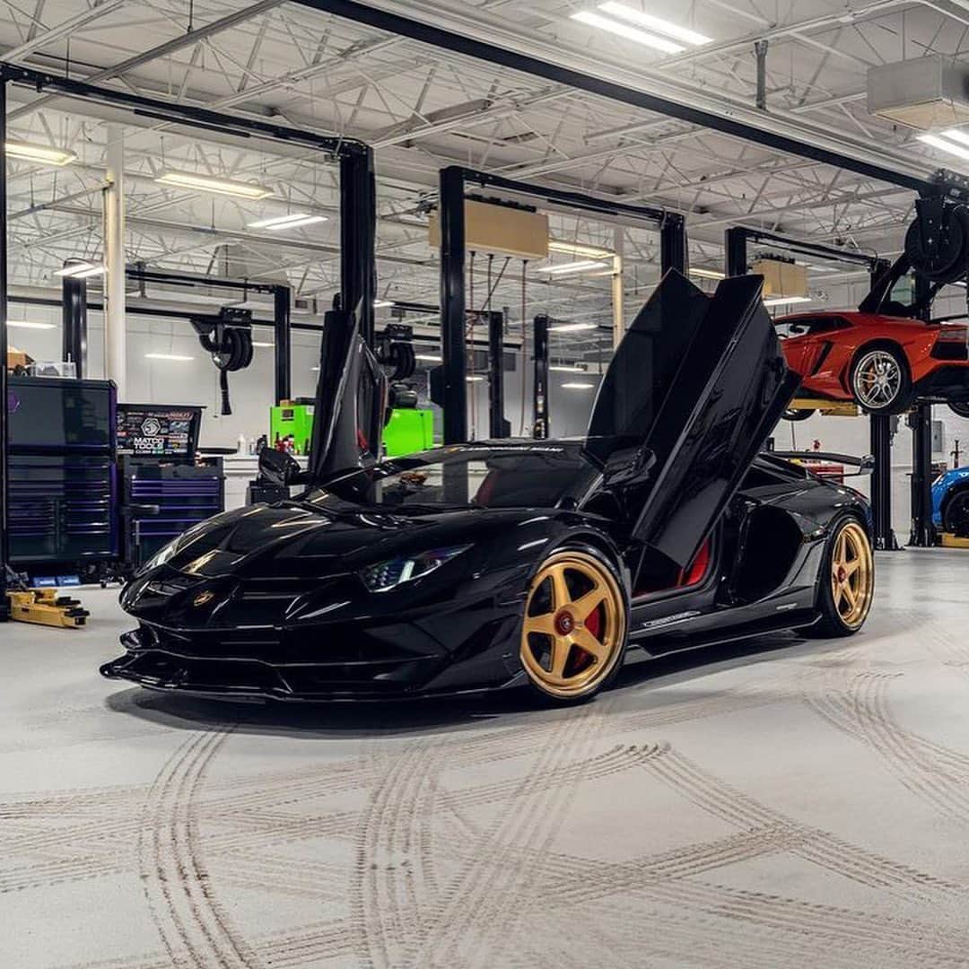 CarsWithoutLimitsのインスタグラム：「Lamborghini Aventador SVJ sitting on @1886forgedwheels S-005 with a brushed satin gold centre and gloss polish gold outers!   📸 @williamstern   #carswithoutlimits #lamborghini #aventador #svj #aventadorsvj #lamborghiniaventador #lamborghiniaventadorsvj #v12」