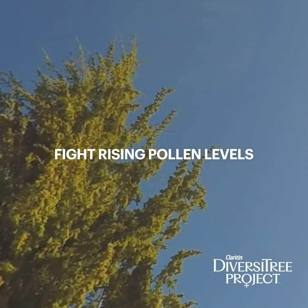 バイエルのインスタグラム：「Diversity expands our perspectives, challenges our preconceptions — and helps with #allergies. According to a study in 2012, #pollen levels are expected to double by 2040. This is in part due to a recommendation in a 1949 USDA report that discouraged planting female #trees which don't give off pollen. Many pollen-producing male-only trees were planted in parks and backyards, but more female trees can make a better outside for all.  Our brand Claritin launched the DiversiTree Project to improve the gender diversity of trees and help minimize the impact of allergy season.」