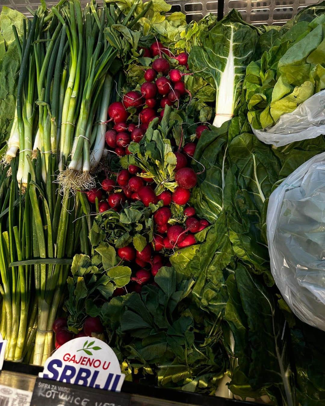 ソフィア・ミロシェヴィッチさんのインスタグラム写真 - (ソフィア・ミロシェヴィッチInstagram)「eat your veggies and fruits folks 🍊🍏🥦」5月2日 0時43分 - sofijamilo