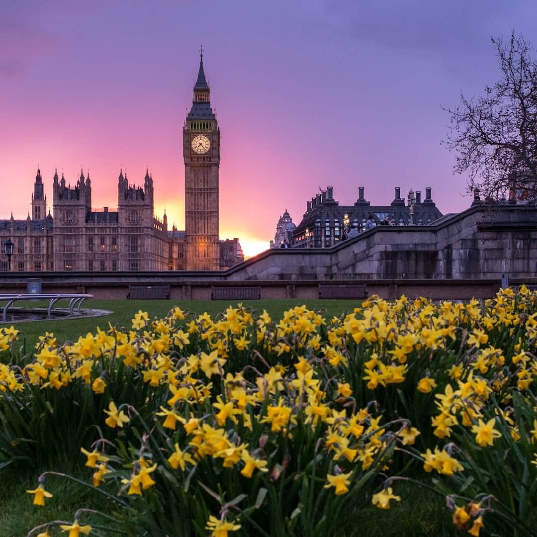 ロンドンフォグのインスタグラム：「April showers bring May flowers #MayDay #London」