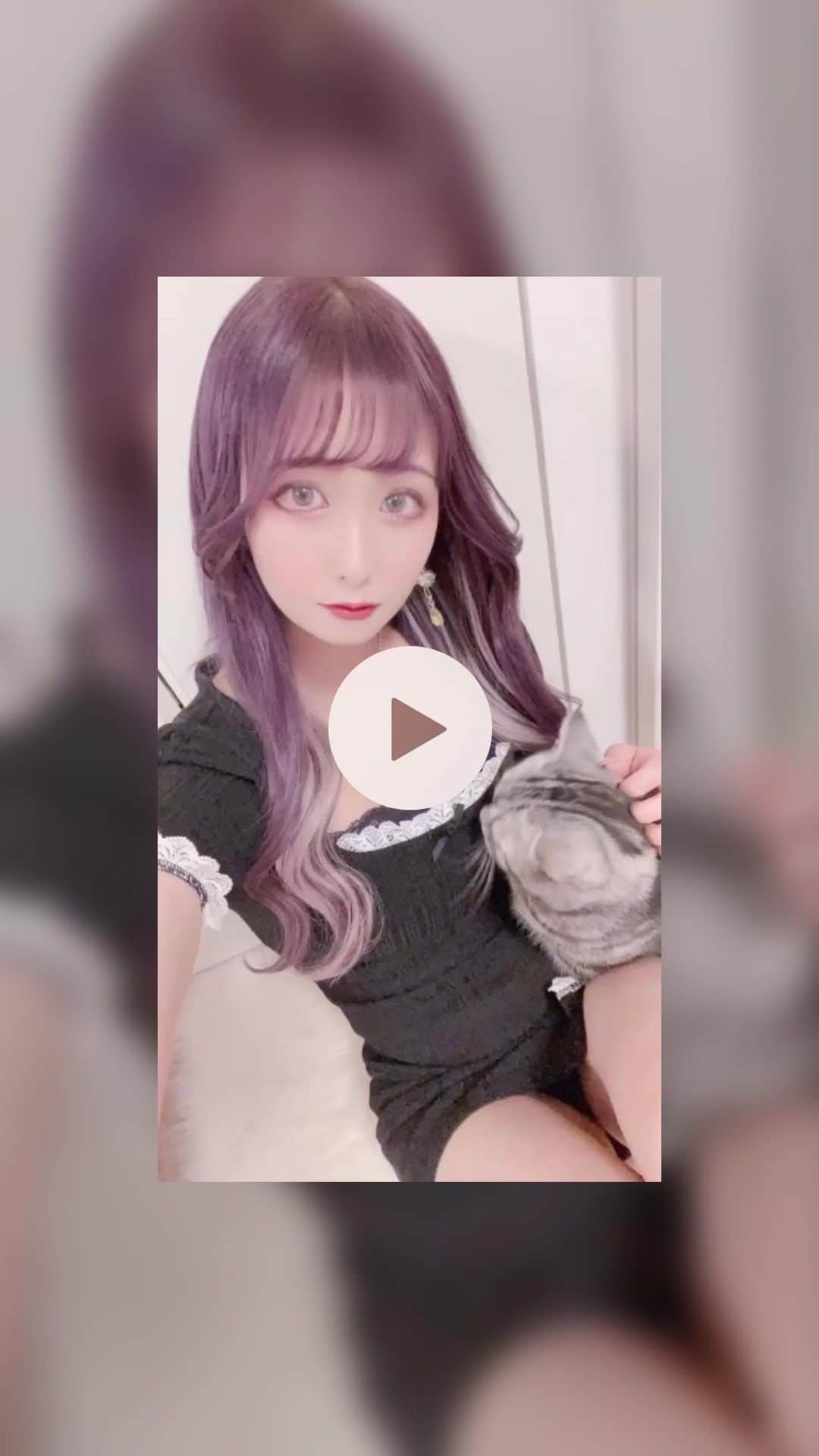 月城せなのインスタグラム：「イメチェンしたよ~🥰💕 ⁡ パープル×インナーシルバー🐈‍⬛💜 どうかな？どうかな？？？？ ⁡ ⁡ 今回は、イベント前でバタバタしていて短い時間しか確保できなかったのでエクステを一旦自分で外してから美容院に行きました✨ ⁡ エクステ50本を地毛に合わせてつけてもらって、その上からパープルで染めて、シャンプー&ドライ後襟足に20本シルバーのエクステをつけてもらいました🎀 ⁡ めちゃくちゃ可愛くない！？ 感想もらえたら嬉しいなあ🥰💖💖💖 ⁡ ⁡ ⁡ - - - - - - - - - - - - - - - 🐈‍⬛💜🦋 - - - - - - - - - - - - - - - ⁡ ⁡ ｱｸﾛﾊﾞｯﾄと軟体が得意なギャルコスプレイヤーです♡ コスプレ/グラビア/写真集/グッズ製作 通販サイト/ファンクラブの運営など…しております✨ ⁡ 最近は、プロデュース業もしております💓 コスプレ初心者の子/伸び悩んでる子など… 一緒に活動できる女の子を随時募集しております🥰 DMからご連絡ください♡ ⁡ ⁡ - - - - - - - - - - - - - - - 🐈‍⬛💜🦋 - - - - - - - - - - - - - - - ⁡ ⁡ #ギャル #コスプレ #コスプレイヤー #cosplay  #gravure #グラビア #グラビアモデル #japanesegirl #私服 #猫 ⁡ ⁡ ♡」