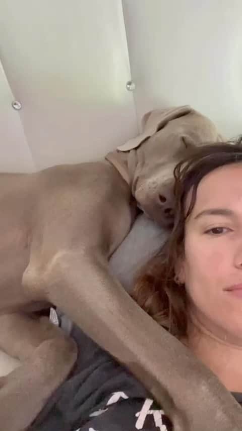 ダニエル・パチェコのインスタグラム：「Pues no. Yo no quería. Jajajajaja. Creo que poco más hay que decir. Me cambió para siempre. Mi tarti. #2 💙🫶🏼」