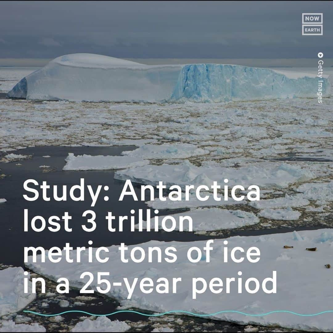 レオナルド・ディカプリオさんのインスタグラム写真 - (レオナルド・ディカプリオInstagram)「Repost from @nowthisearth • Glaciers located in the Amundsen Sea Embayment in West Antarctica have lost more than 3 trillion metric tons of ice over a 25-year period, according to a recent study in the journal Nature Communications. Scientists said that the region is currently the biggest contributor to rising sea levels from the West Antarctic ice sheet.  The team of researchers, led by Ben Davison, calculated the ‘mass balance’ of the Amundsen Sea Embayment by looking at the balance between the amount of snow and ice gained from snowfall and the amount lost through calving, which is the process where ice breaks off from glaciers. When calving occurs faster than ice is formed, the result is an increase in sea levels.  They found that there was a net loss of 3,331 billion metric tons—which is equal to 3 trillion—of ice between 1996 and 2021, which caused an approximately 0.4-inch rise in global sea levels.  ‘The 20 glaciers in West Antarctica have lost an awful lot of ice over the last quarter of a century, and there is no sign that the process is going to reverse anytime soon, although there were periods where the rate of mass loss did ease slightly,’ Davison said in a statement.   ‘We were really surprised to see just how much periods of extremely low or high snowfall could affect the ice sheet over two- to five-year periods — so much so that we think they could play an important, albeit secondary role, in controlling rates of West Antarctic ice loss’ he continued. #news #ice #climatechange #climatecrisis #antarctica」5月2日 5時38分 - leonardodicaprio