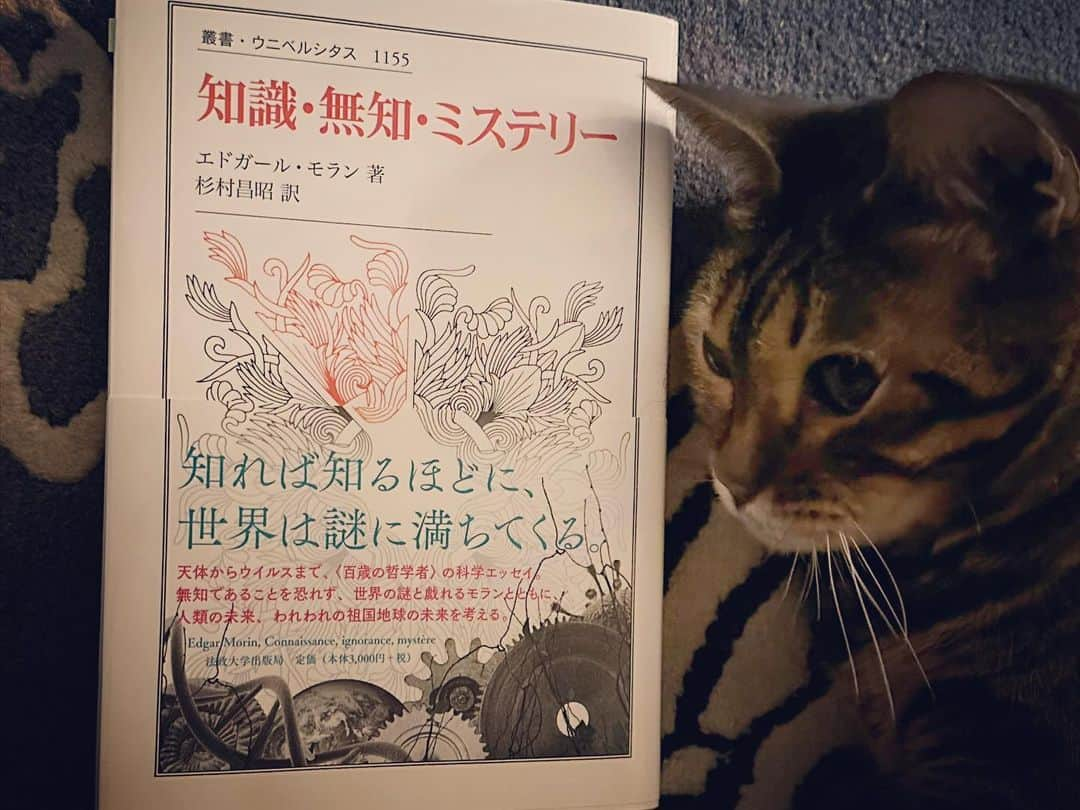 ヤマザキマリさんのインスタグラム写真 - (ヤマザキマリInstagram)「思想家・哲学者エドガール・モラン氏の翻訳新刊。私の人生の一冊として様々なメディアで紹介した「祖国地球」の初版が出てから30年、モランは百歳を超えたが人類考察の眼差しは未だ鋭く容赦ない。 #EdgarMolin」5月2日 16時20分 - thermariyamazaki