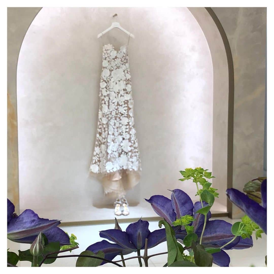 NOVARESE Dress Officialのインスタグラム