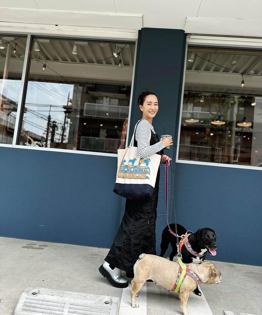 のインスタグラム：「. . . 🐕♡  シェアさせて頂きます♡  宮古島のシェルター @save.the.animals385  さんの 愛息子　としお君 の 大きな手術の2回目の 寄付のお礼にと としお応援団の皆に としおのチャリティーバッグを頂きました♡  としおが 赤ちゃんから おじぃちゃんになるまで可愛く描かれてる チャリティーバッグ♡ 想いがあるモノは本当に嬉しい♡  まだまだ としお君は医療費支援を募集されてます！ 可愛いチャリティーグッズ 是非、チェックしてみて下さい♡ ☟ @miyakojima1_2park_onlineshop   汚れが全く気にならない 可愛い撥水ワンピは @anogh_official   #Repost @save.the.animals385 with @use.repost ・・・ 我が家の末っ子👦💓  とちおくん✨ . . . 2回目の手術の抜糸も先日完了しまして、術後の薬の量を調整するのに下痢もありましたが、 現在術後は完全復活しました🫡 (報告が遅くなりした🙇‍♀️) . . . 2回目の手術では 大元の血管の完全結束に成功しました。  ですが、毛細血管のように 細かくシャント血管が形成されており これ以上の手術は不可能。 と、なりました。  ここからは 薬の量の調節と 肝臓食を生涯継続していくことになります。  倍速で肝臓は年老いていきます。  食事のたびに肝臓の数値は上がる為、食事の度の薬は重要となります。  それも今回の手術でできる限り減らしていければ良いね、と主治医から言われております。 . . . これからとしおのことどうしようか。 かかりつけ医を沖縄から大阪に変えることもとても大変だったことと、 今の先生は親身に治療してくださることと、総合内科もある今の病院で引き続き治療を続けていけたらと思っています。  西洋医学だけではなく  今後、 漢方等東洋医学も試してみようか、 と、思っています🙇‍♀️  できるだけ 肝臓の年老いるスピードを下げて まだまだ赤ちゃんのとしおが楽しく元気に生きていけるように できたらと思っています。 . . . としおへのサポート引き続きよろしくお願いします👦🙇‍♀️」