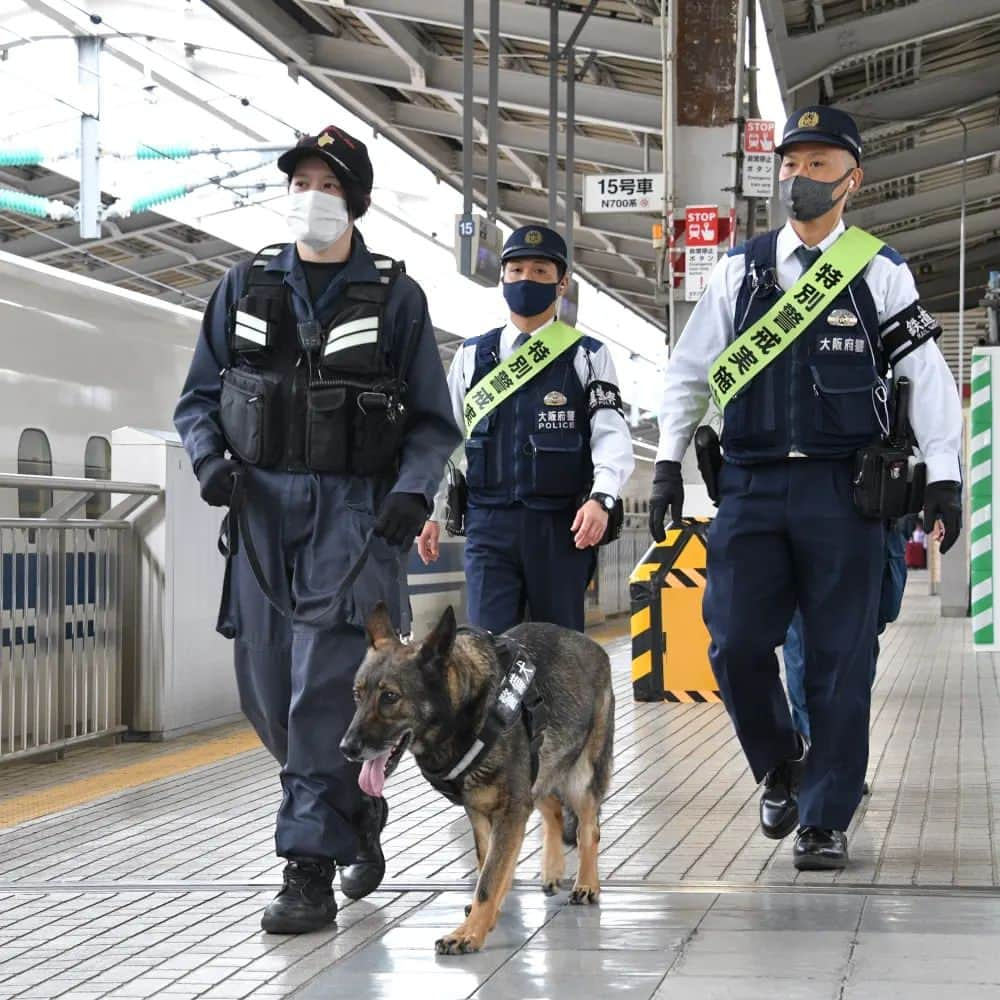 大阪府警察さんのインスタグラム写真 - (大阪府警察Instagram)「【列車内、駅構内の安全を守る】 大阪府警察鉄道警察隊では、令和5年4月24日から28日までの間、新年度に増加傾向にある列車内における痴漢等性犯罪と暴力行為の撲滅を目的に、府下14ヵ所の駅周辺において、大阪府鉄道警察連絡協議会主催による「列車内安全活動強化期間」に伴う啓発活動を行いました。 また、令和5年4月25日には、JR東海「新大阪駅」で、G7広島サミットに向けた警備犬による警戒等を実施しました。  #大阪府警察公式 #大阪府警察 #大阪府警 #府警 #警察 #おまわりさん #鉄道警察隊 #列車内安全活動強化期間 #啓発活動 #新大阪駅 #G7広島サミット #G7 #警備犬 #警戒 #府民を守る」5月2日 17時00分 - fukei_koho